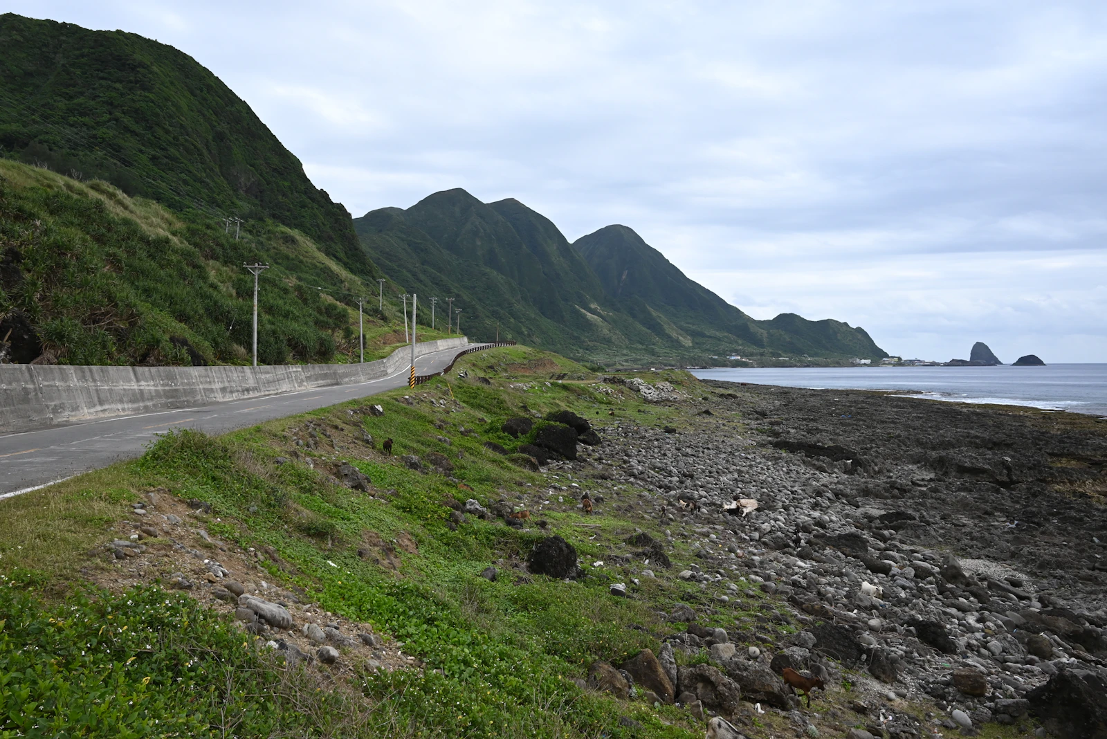 A coastal road running between green mountains and the ocean
