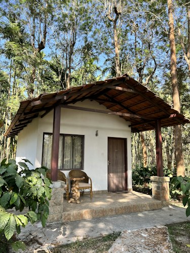 WhatsApp Forms for Homestays, Resorts, and Small Hotels — Handle Booking Enquiries Without the Back-and-Forth