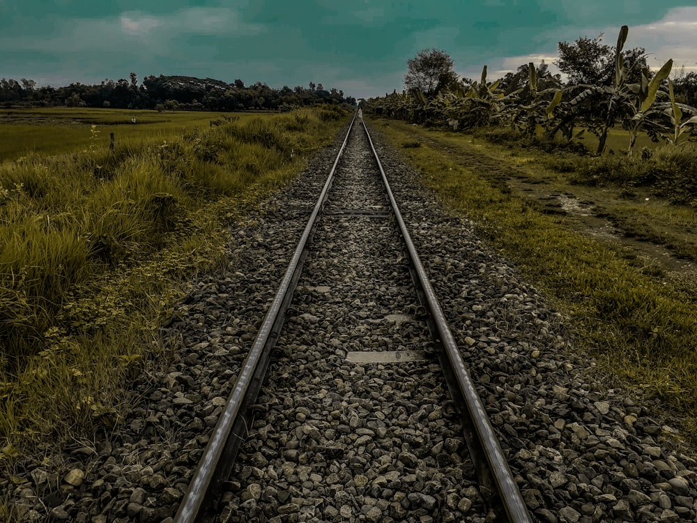 a train track running through a lush green field