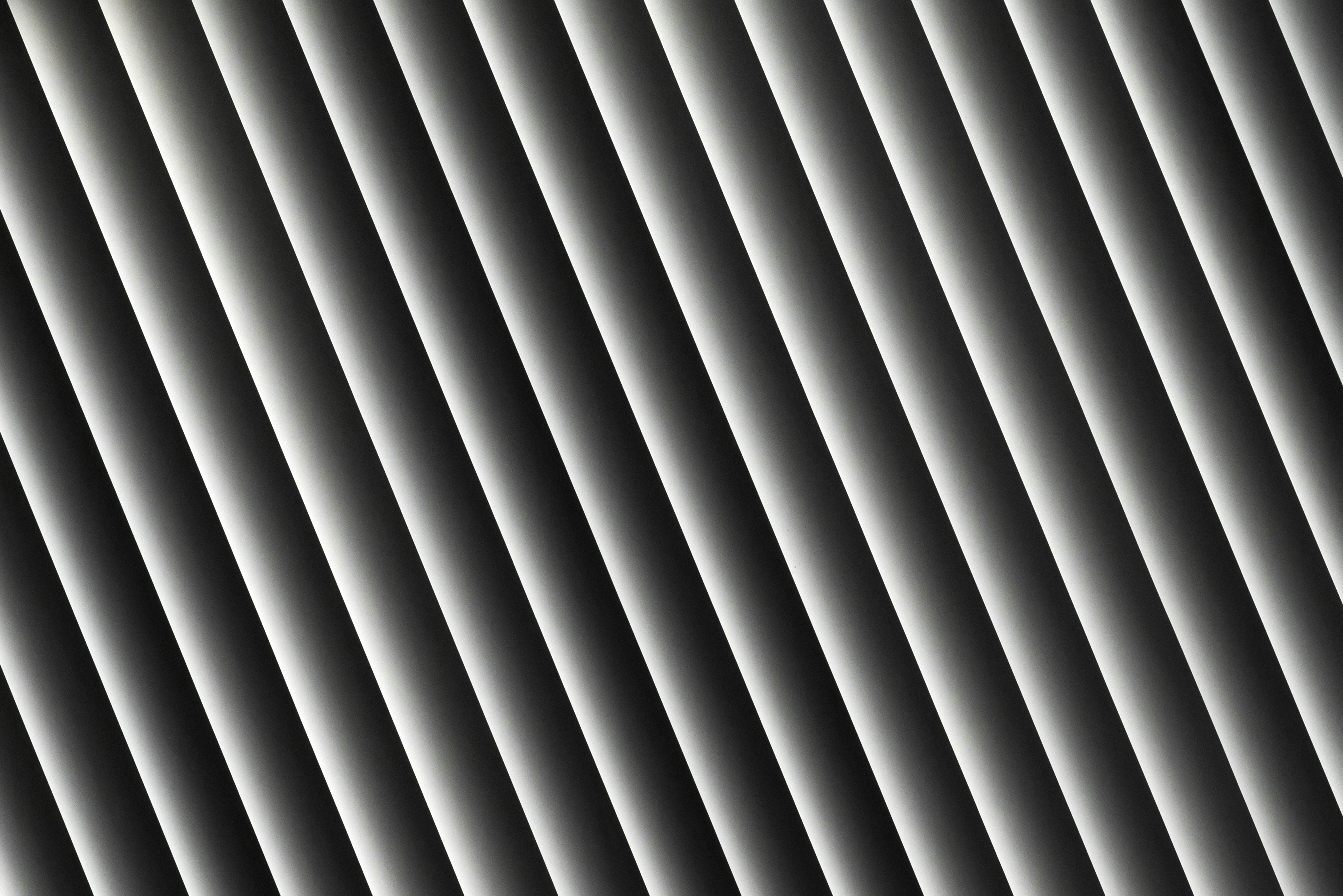 Photo by switch_dtp_fotografie