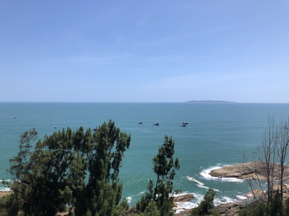 a body of water surrounded by trees on a sunny day