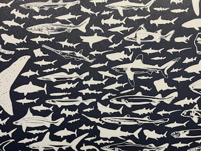 Various species of sharks are illustrated in a repeating pattern against a black background. The sharks are depicted in white, some with detailed features while others are simple silhouettes.