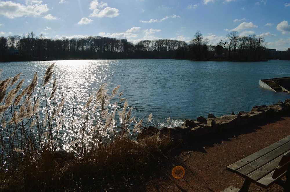 a bench sitting next to a body of water