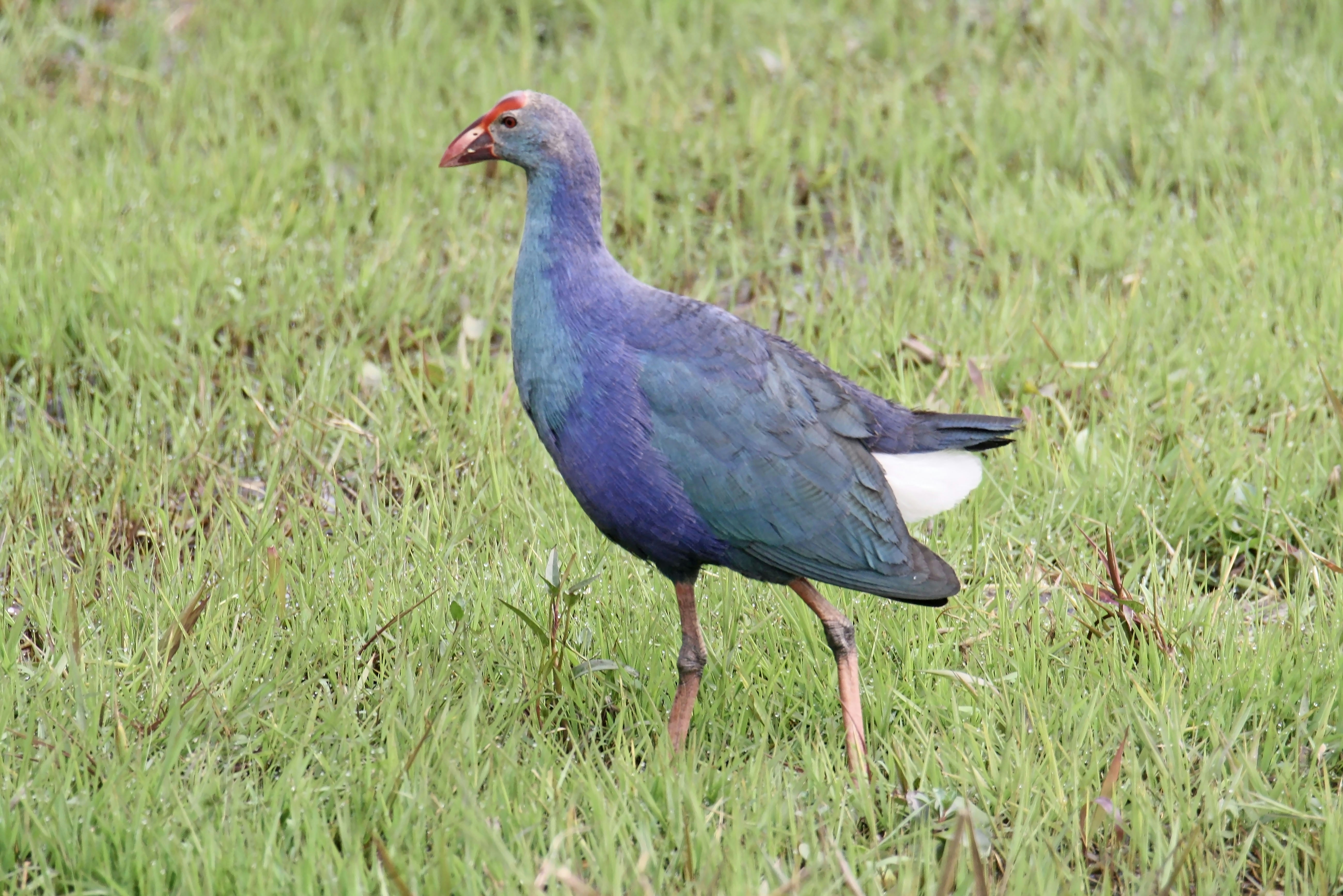 Photo by sylvester_123