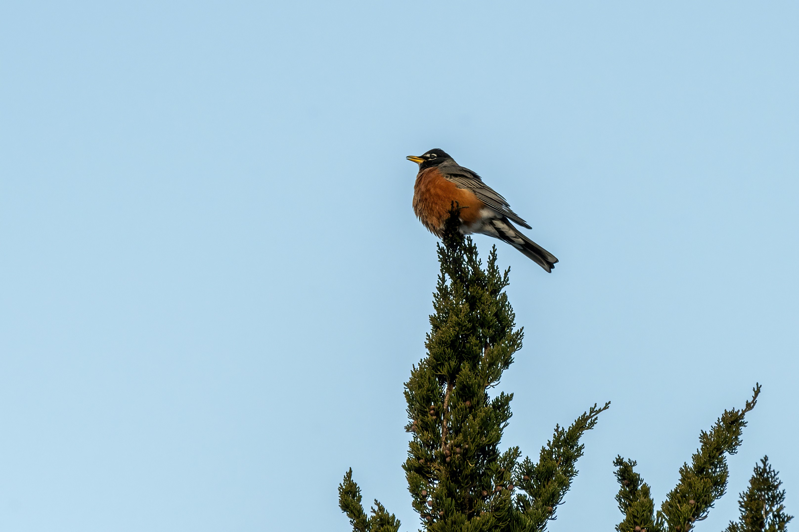 Photo by cholewinski