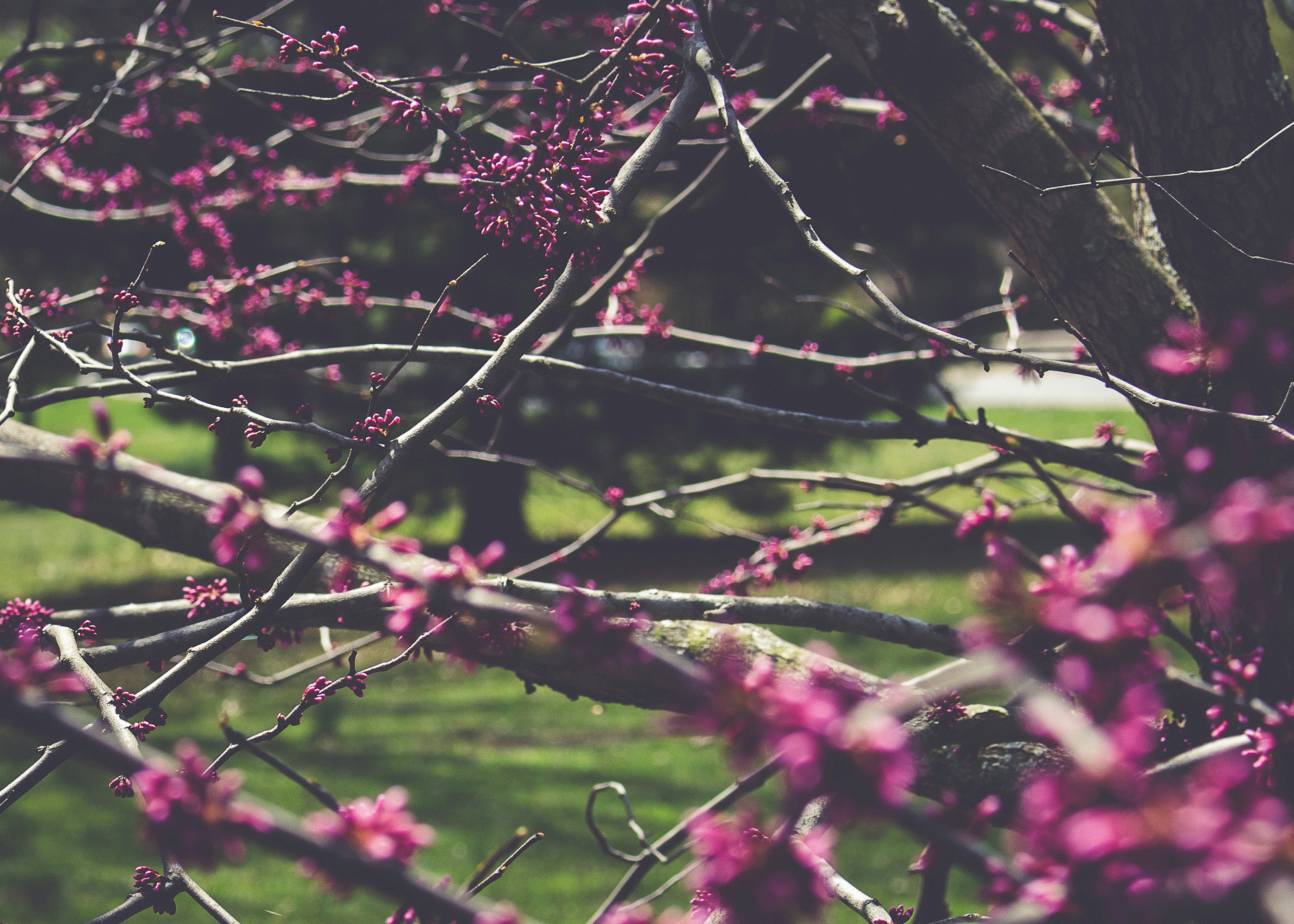 Photo by emmanuelphaeton