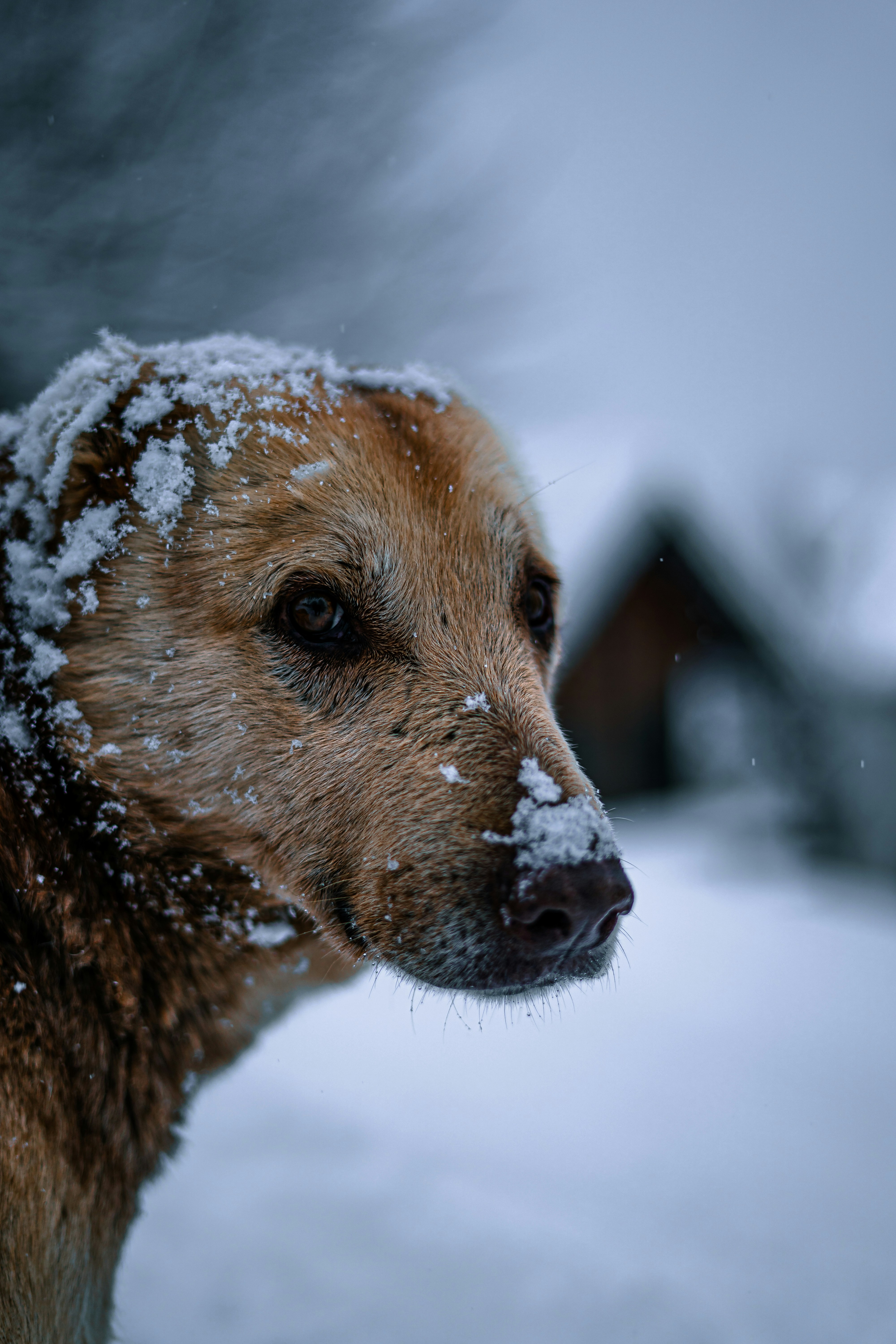 Photo by pouyahajibagheri