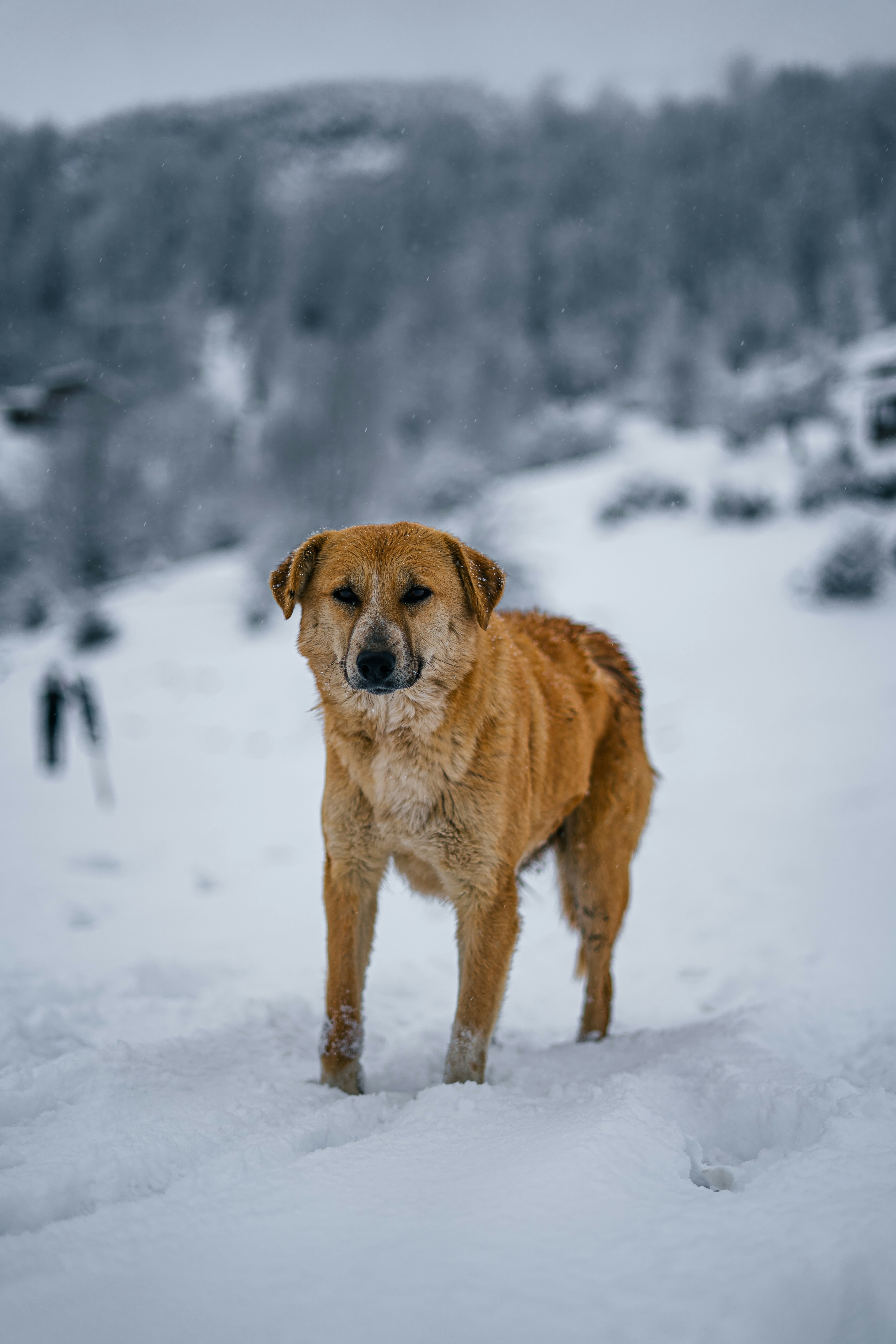 Photo by pouyahajibagheri
