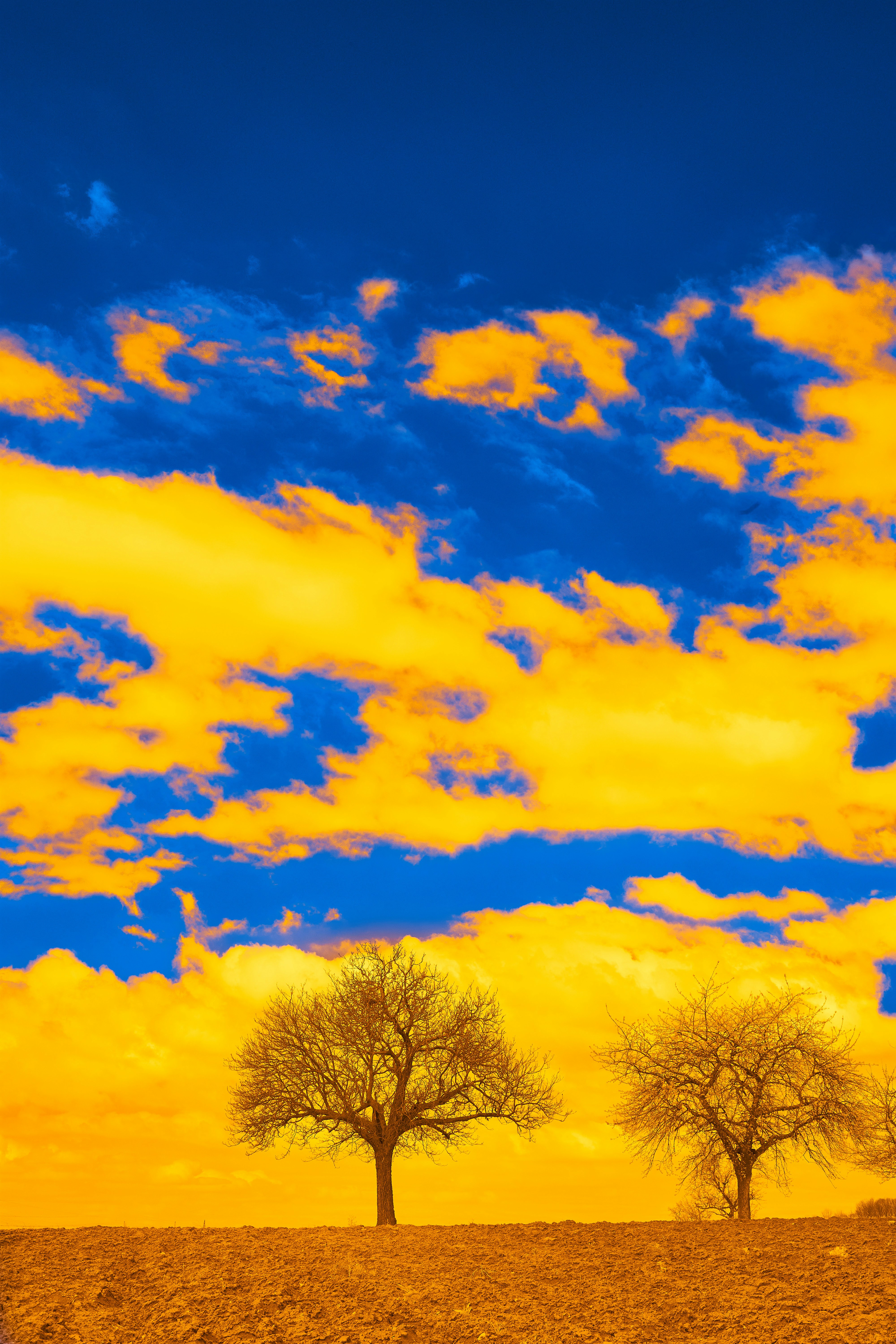 Photo by wolfgang_hasselmann