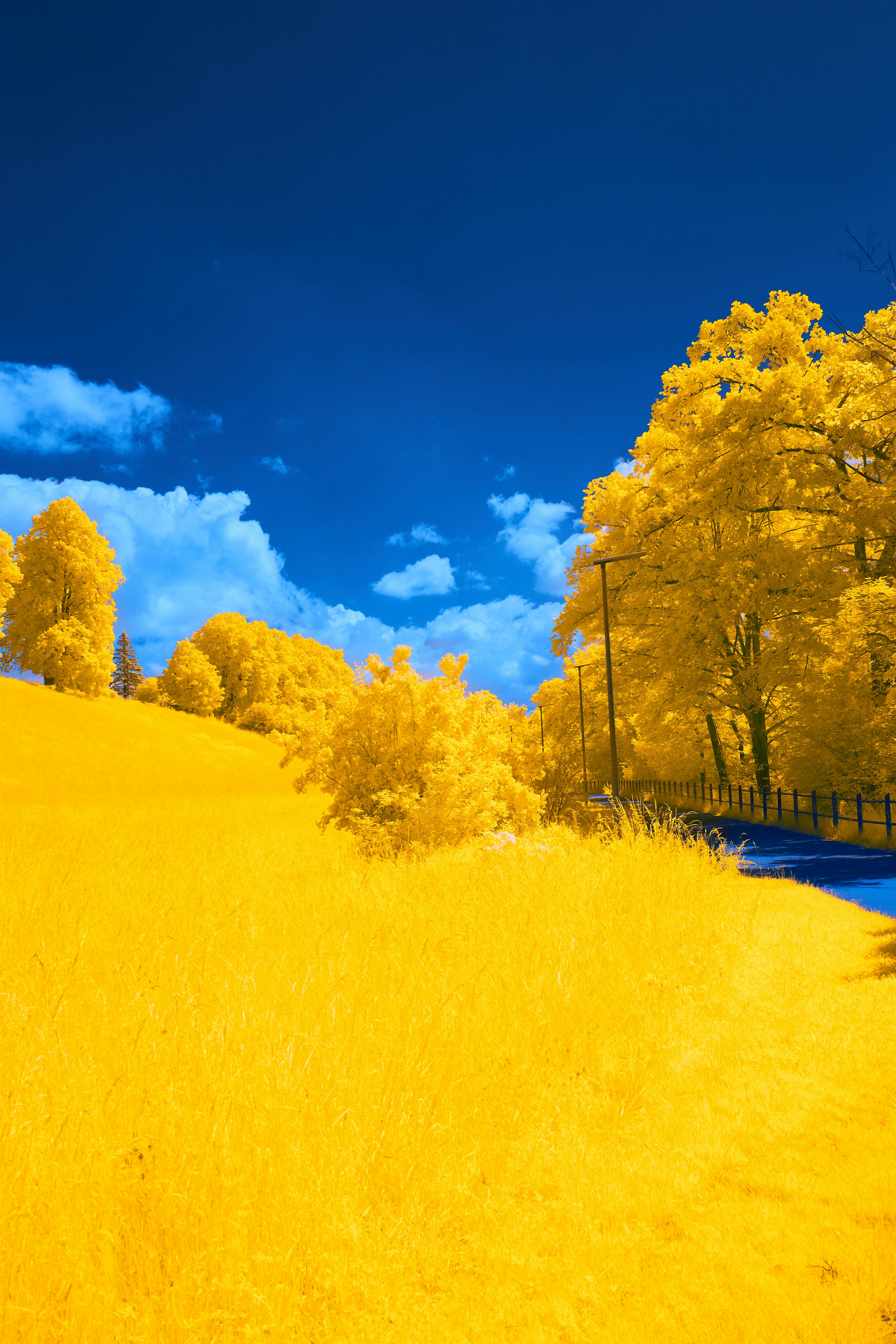 Photo by wolfgang_hasselmann