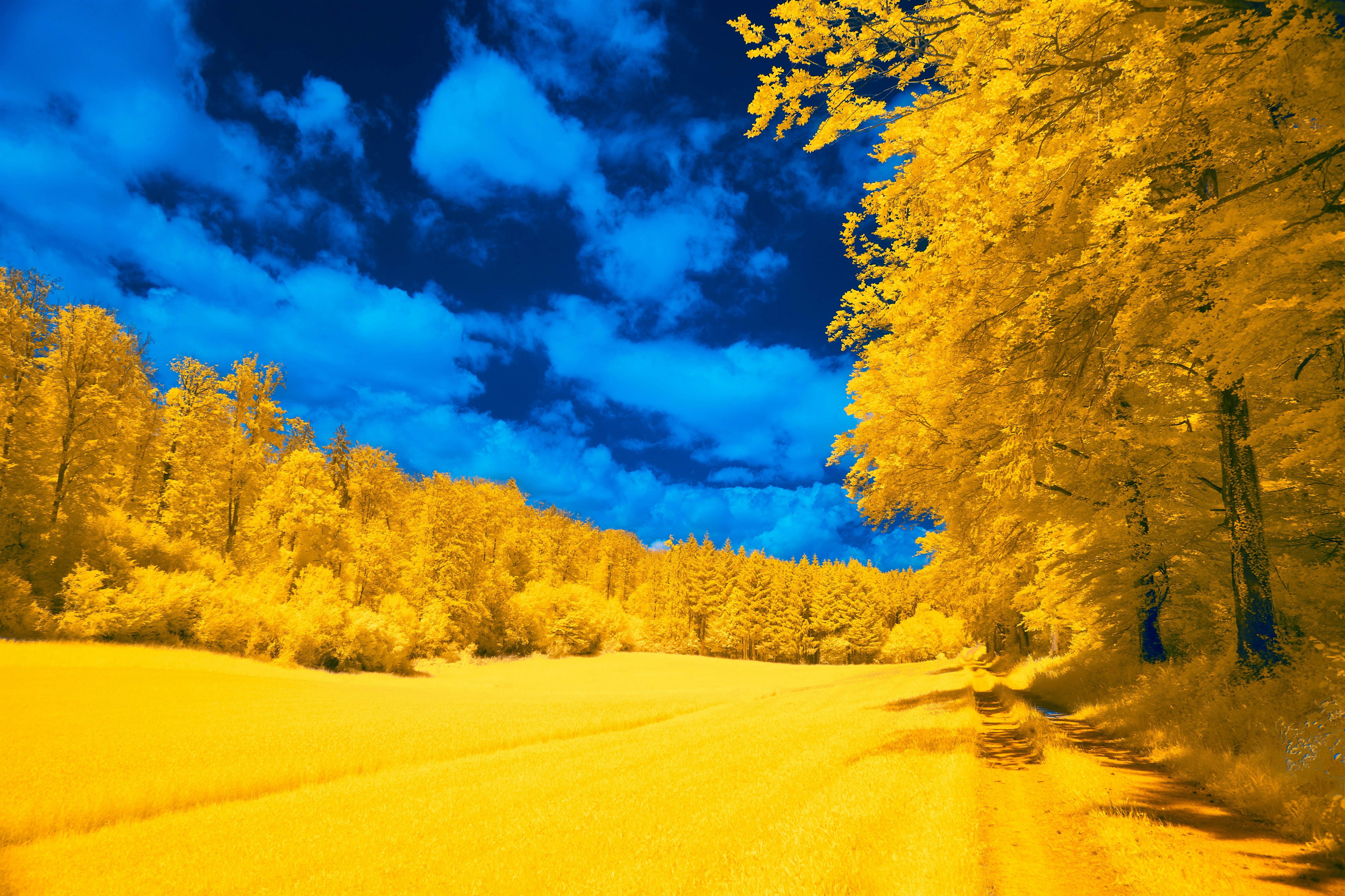 Photo by wolfgang_hasselmann