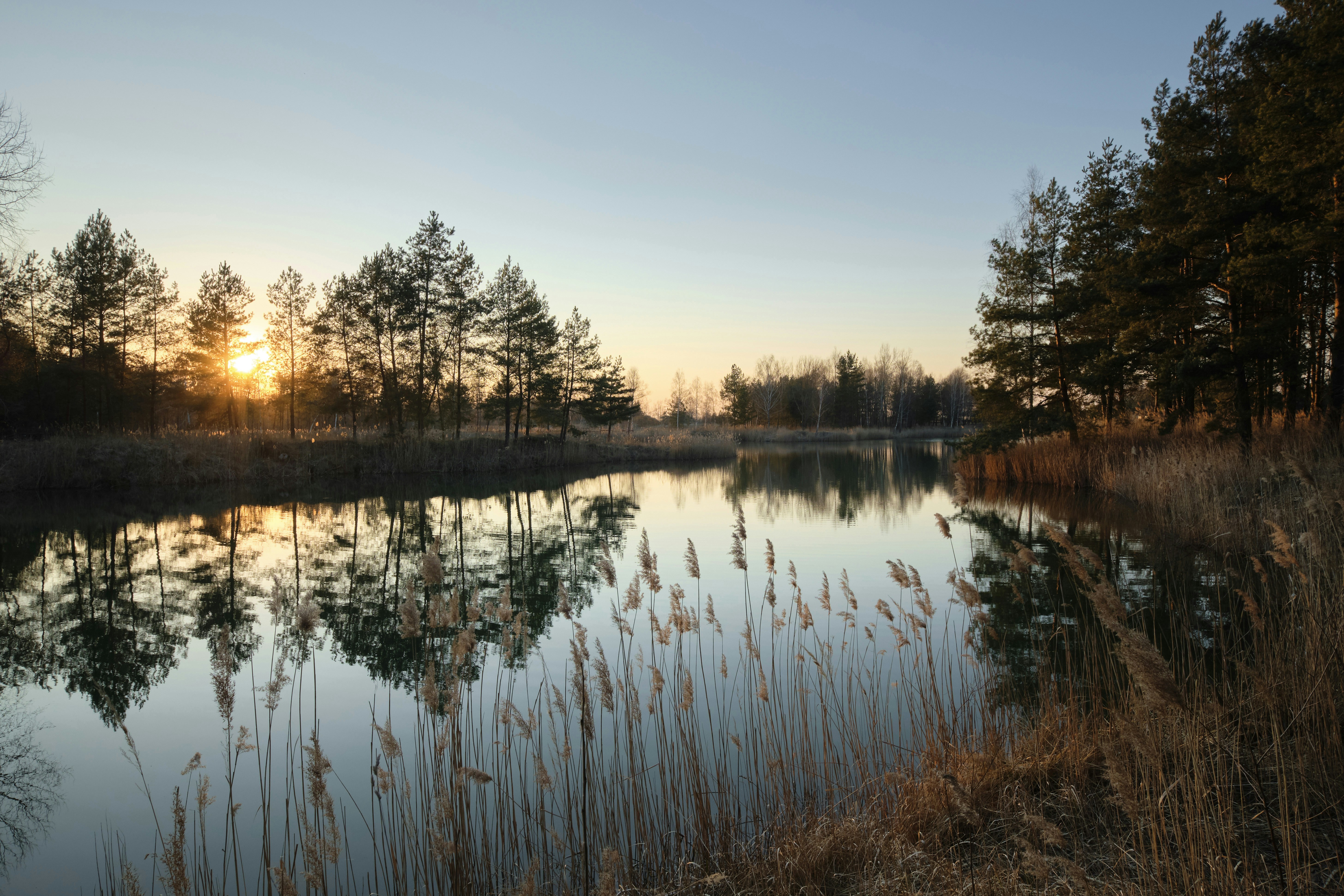 Photo by victor_vector