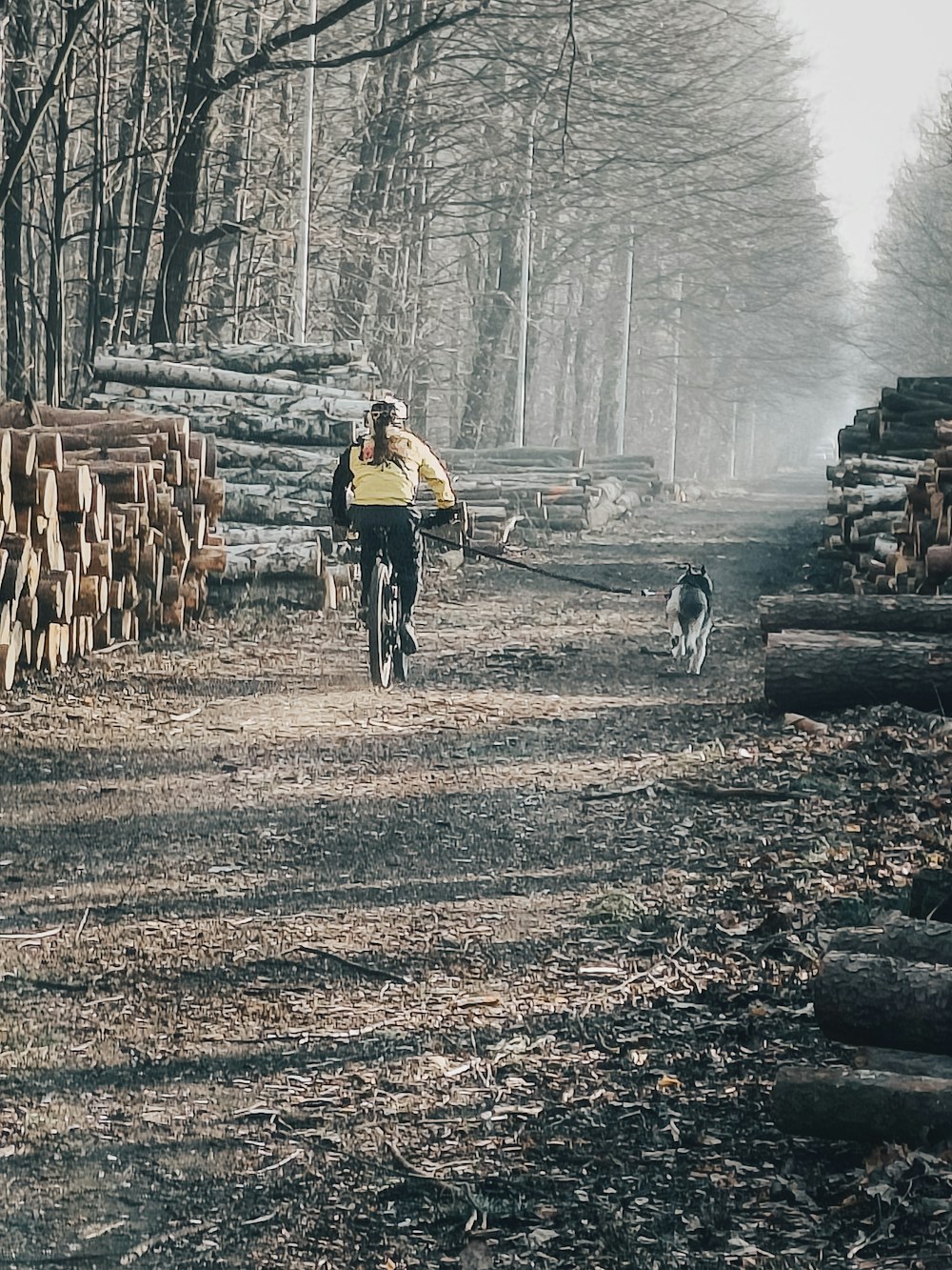 a man riding a bike down a dirt road next to a forest