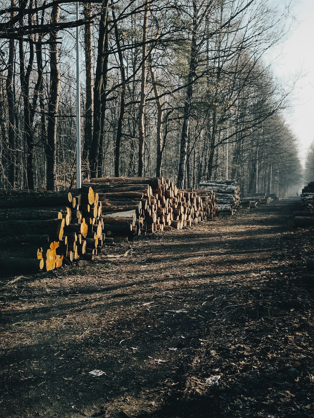 a truck driving down a road next to a pile of logs