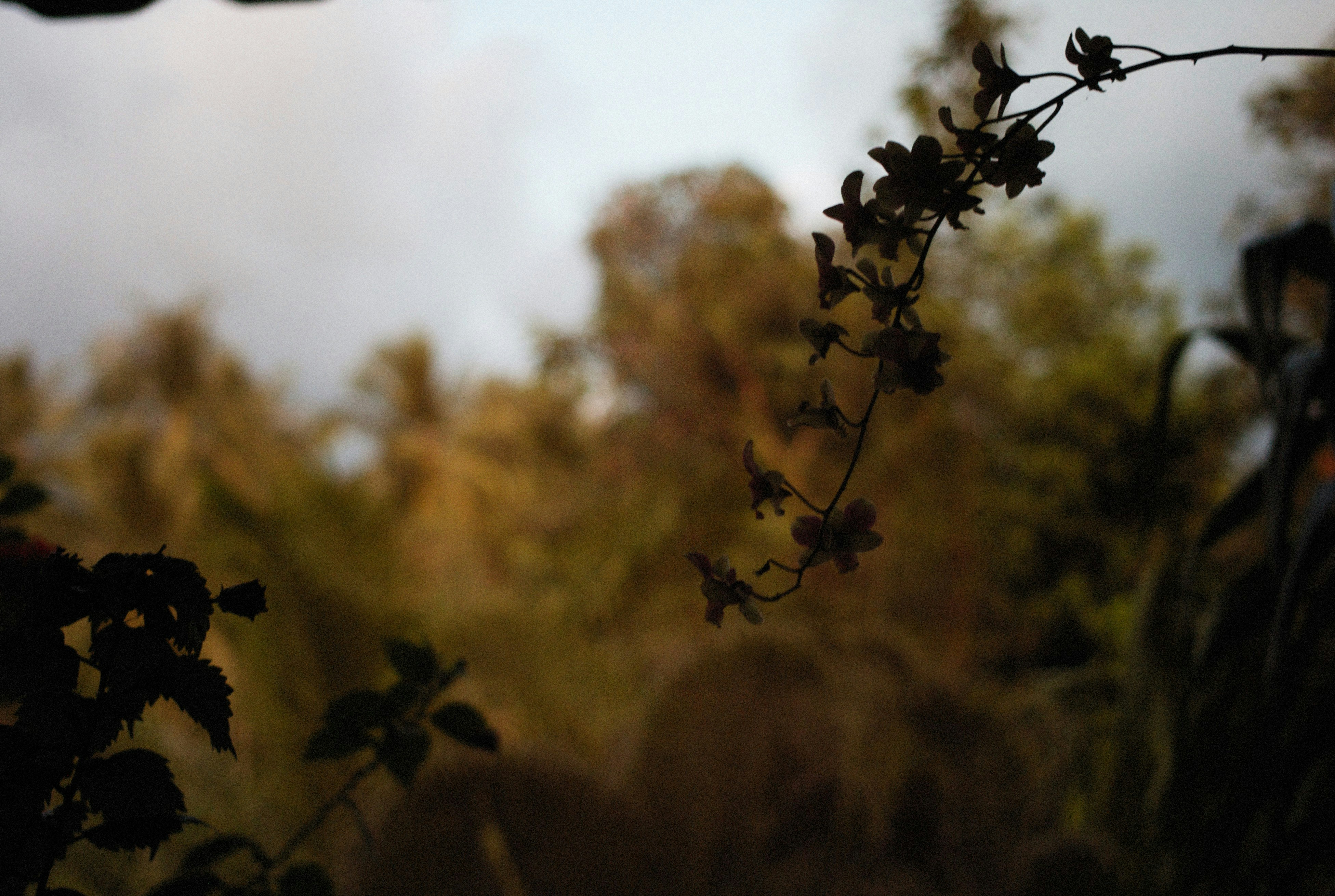 Photo by alexeydemidov