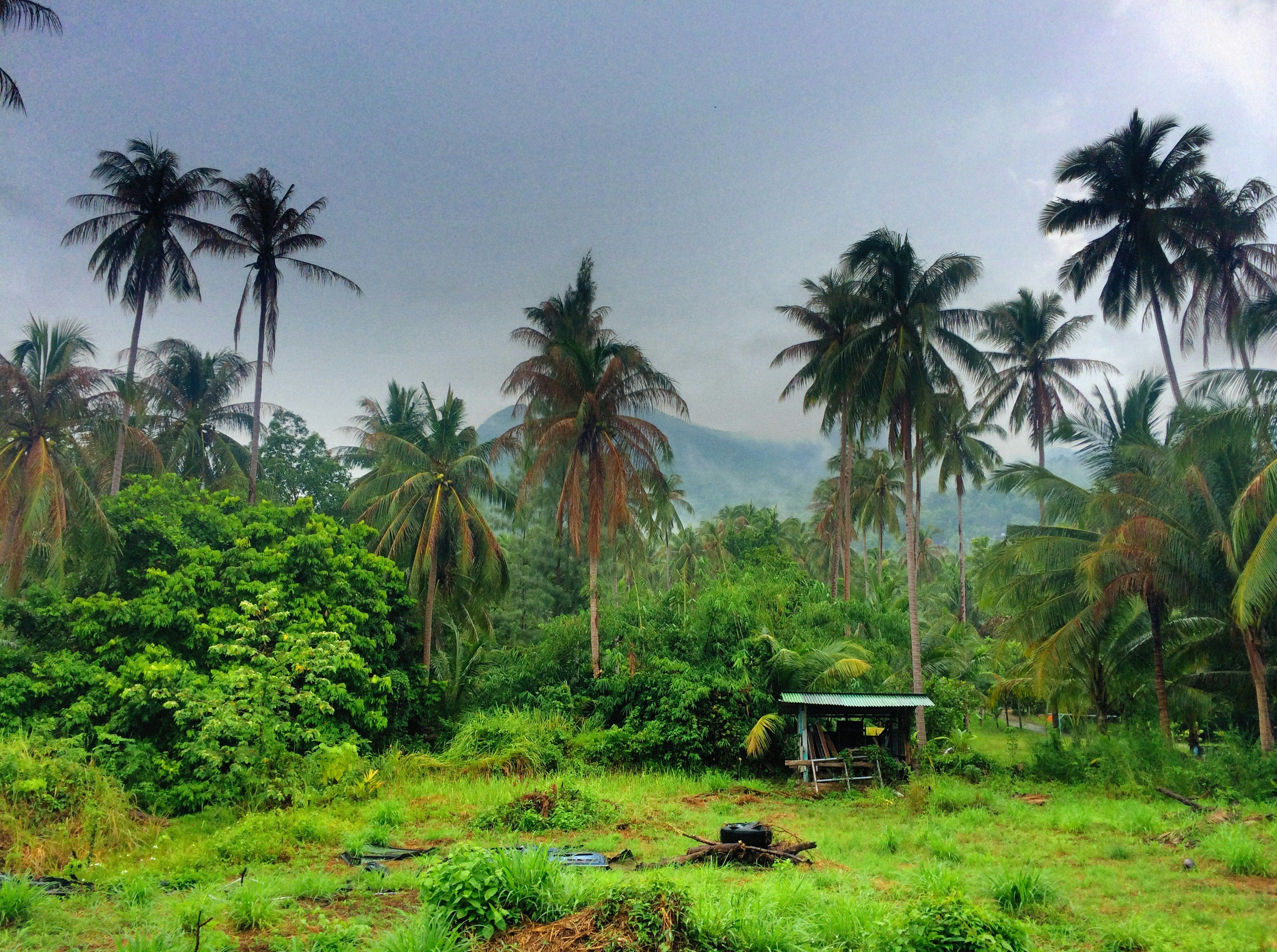 Photo by alexeydemidov