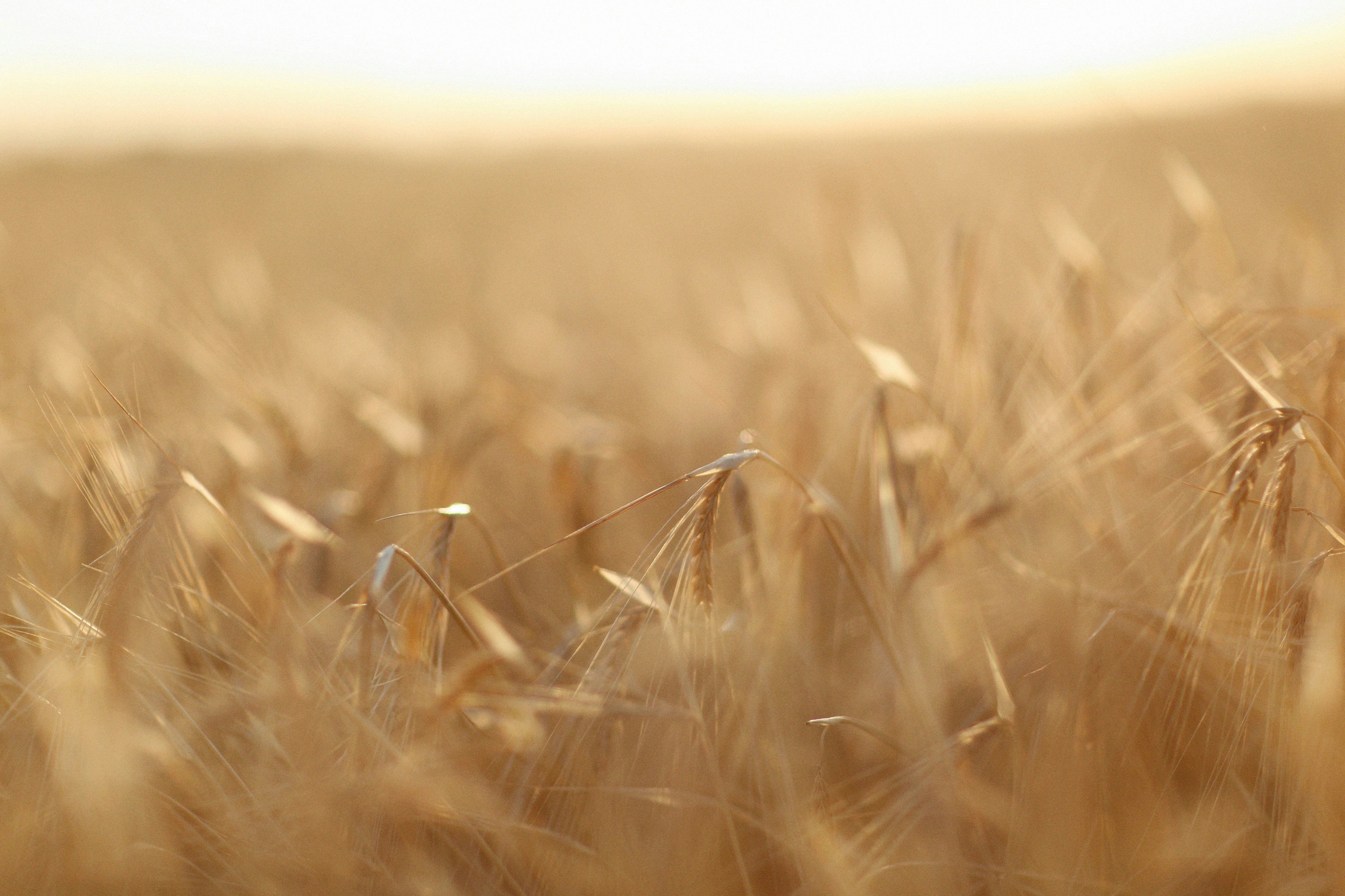 Photo by alexeydemidov