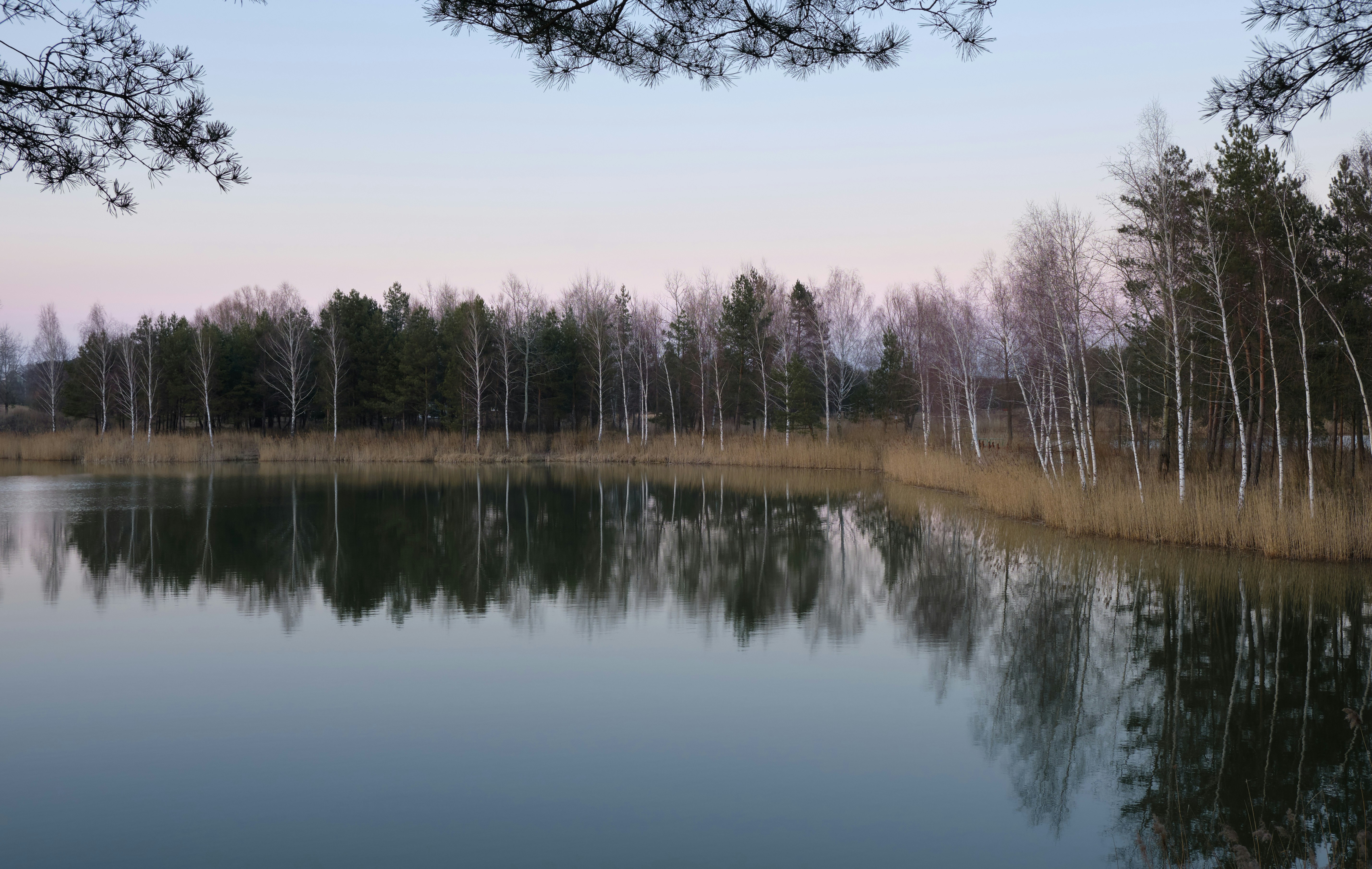 Photo by victor_vector