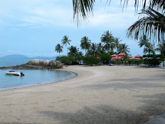 a beach with a boat in the water and palm trees