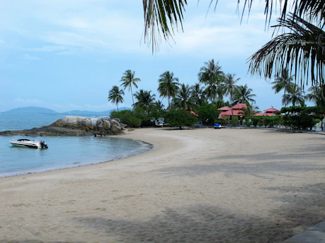 a beach with a boat in the water and palm trees