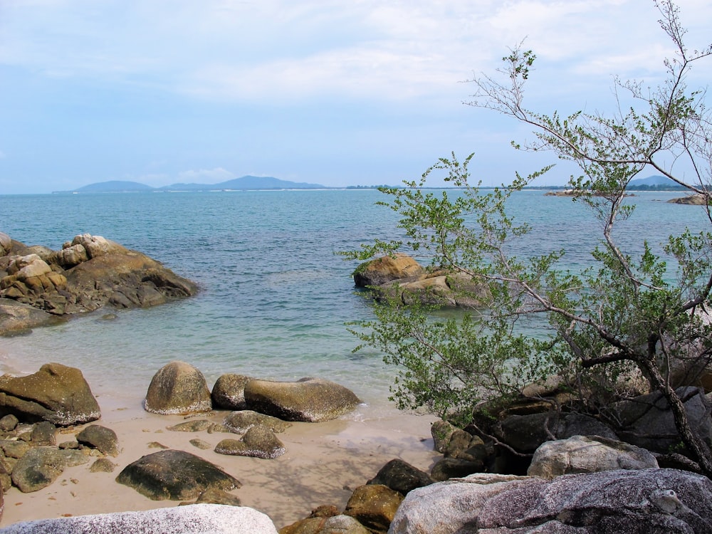 a view of a beach with rocks and water