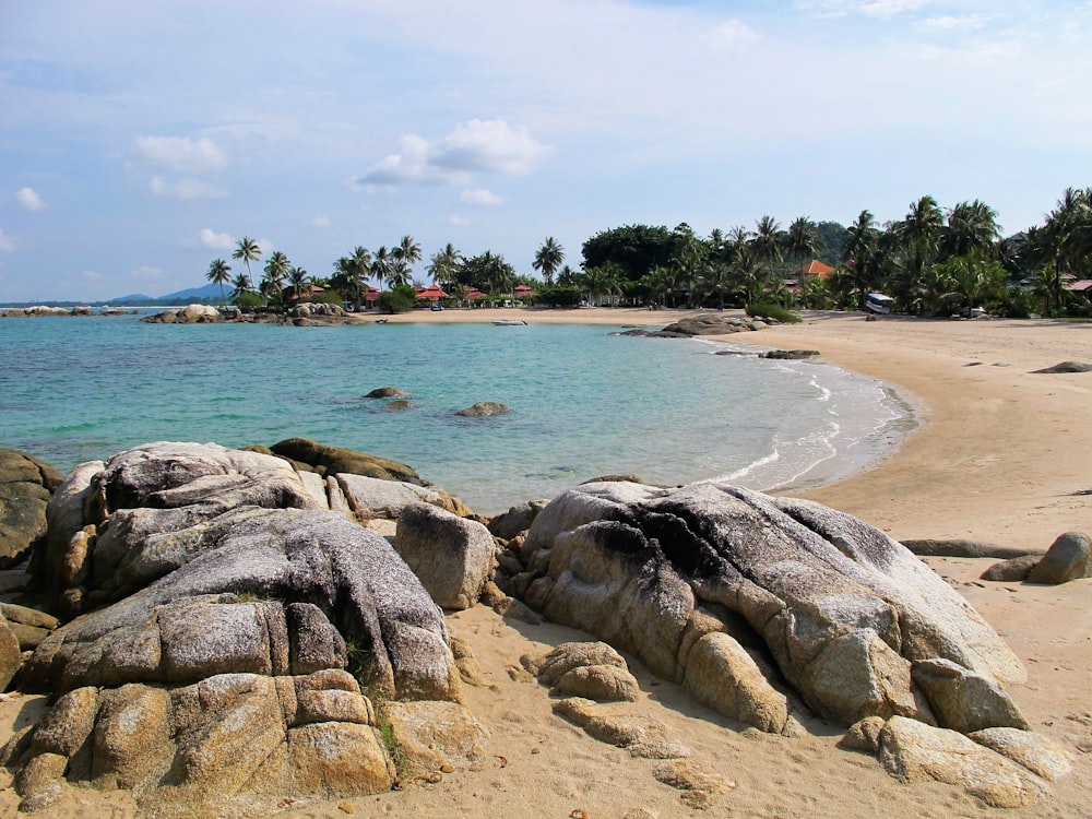 a beach with rocks and water and palm trees