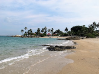 A serene morning shot of Serena del Mar’s beachfront with soft waves and palm trees