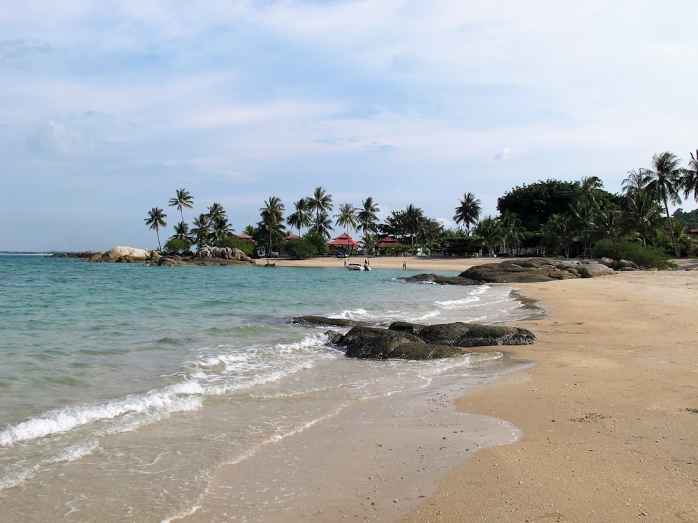 a sandy beach next to the ocean with palm trees