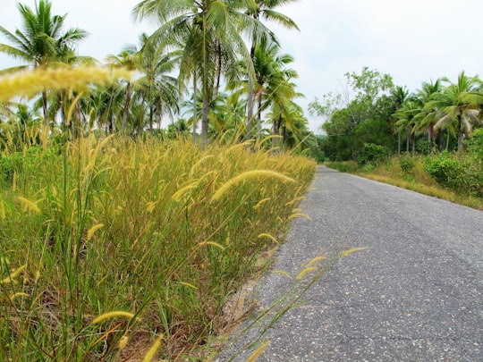 None in Bangka-Belitung Indonesia