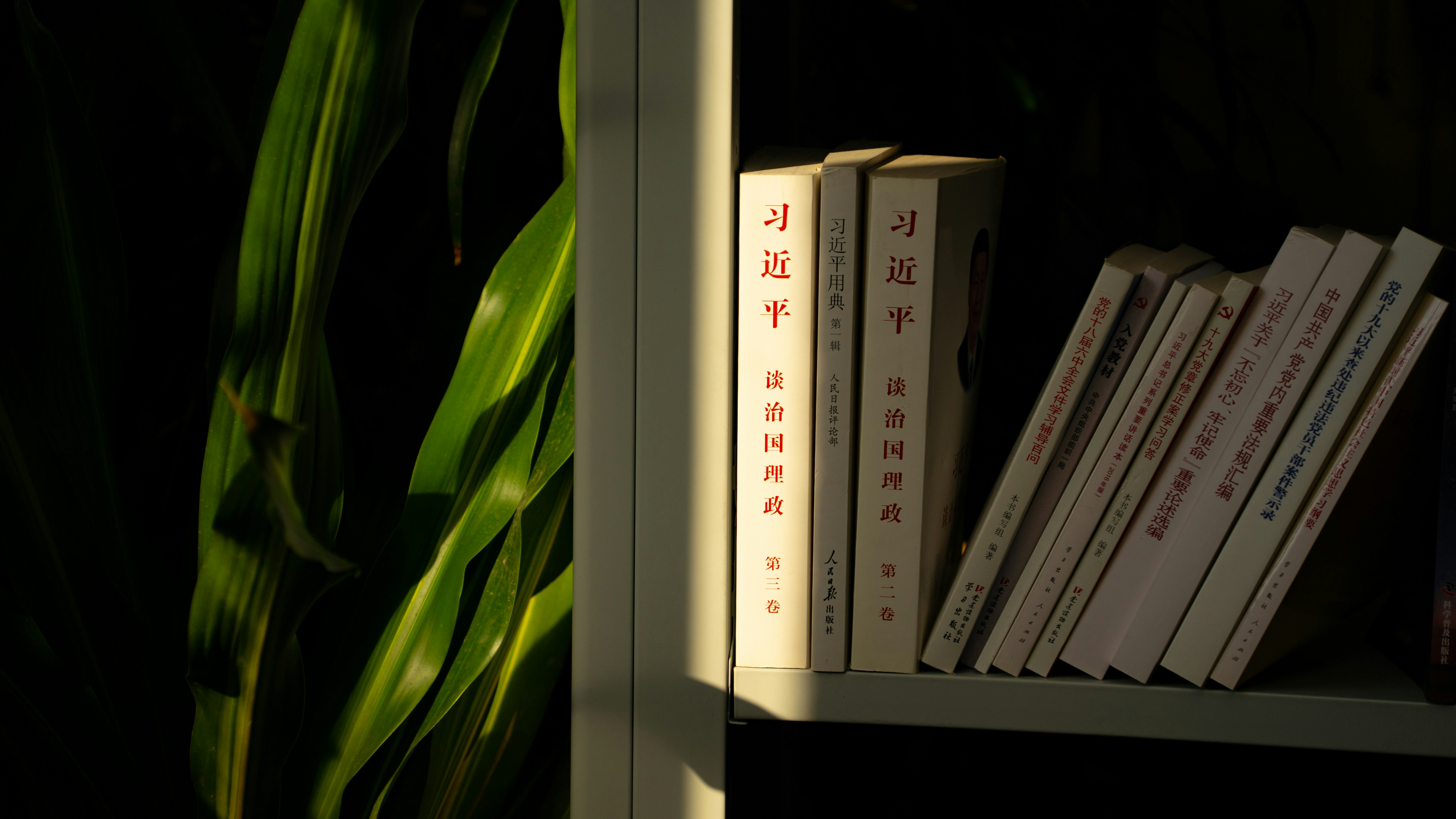 Photo by fourcubes