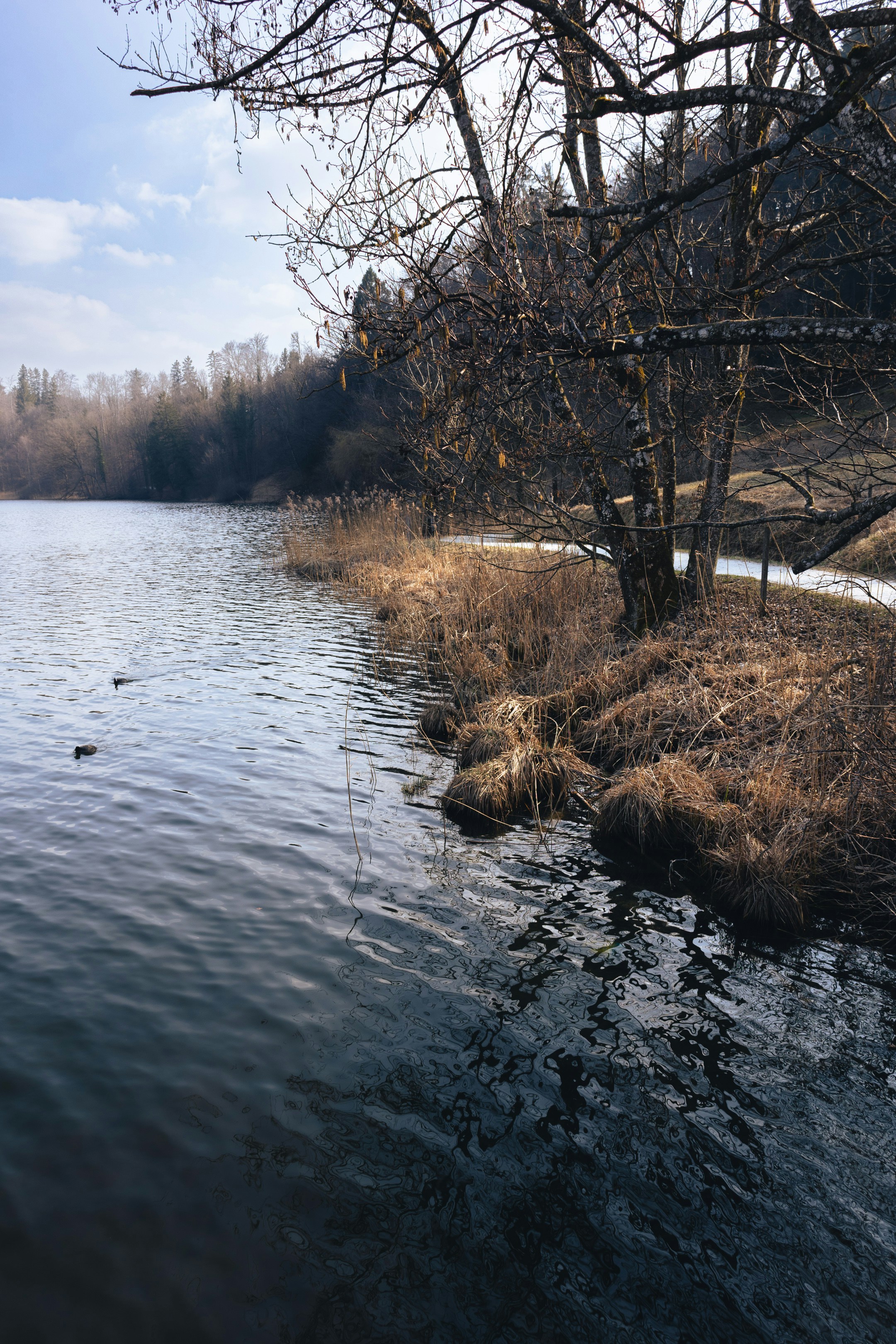 Photo by tomastrajan