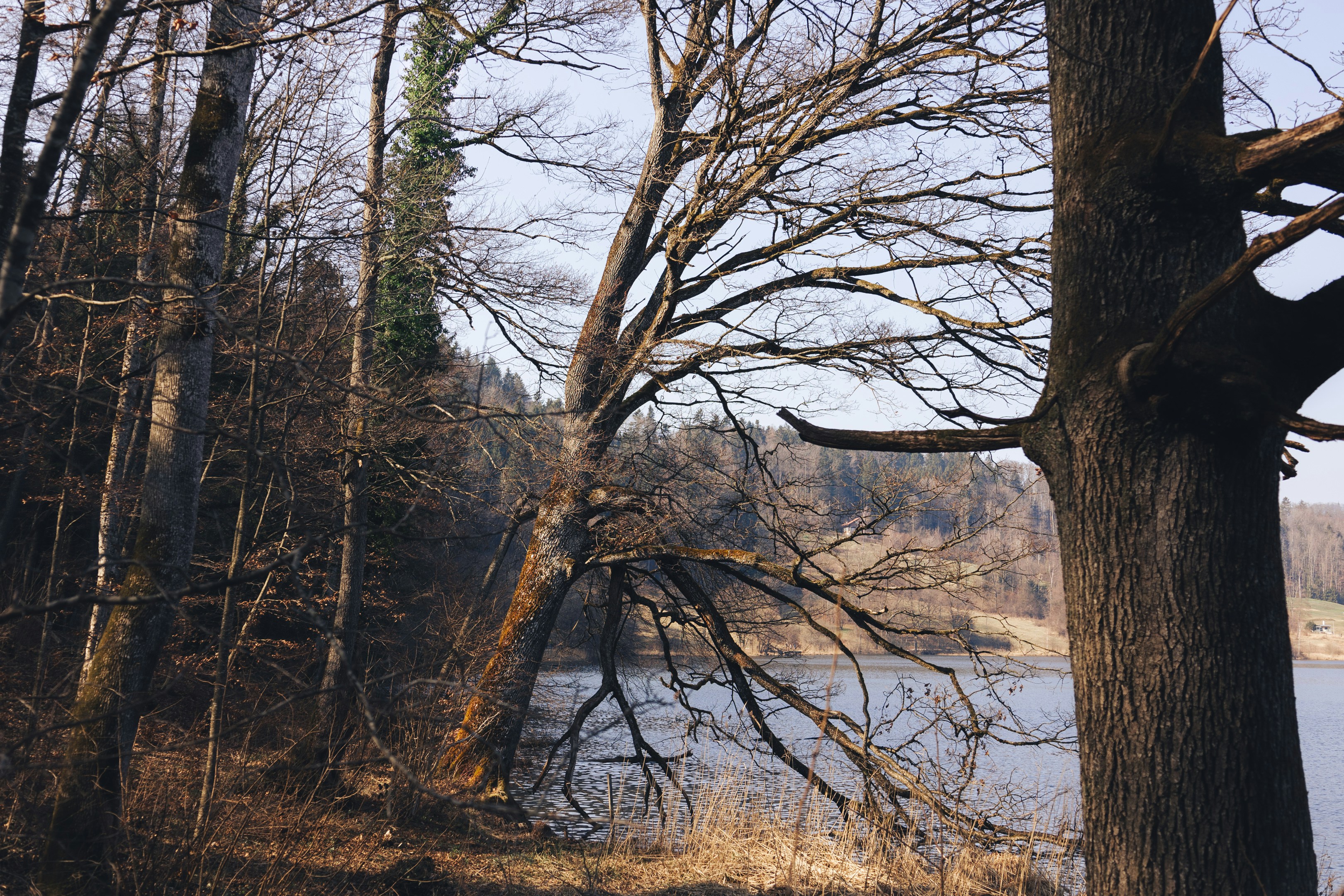 Photo by tomastrajan