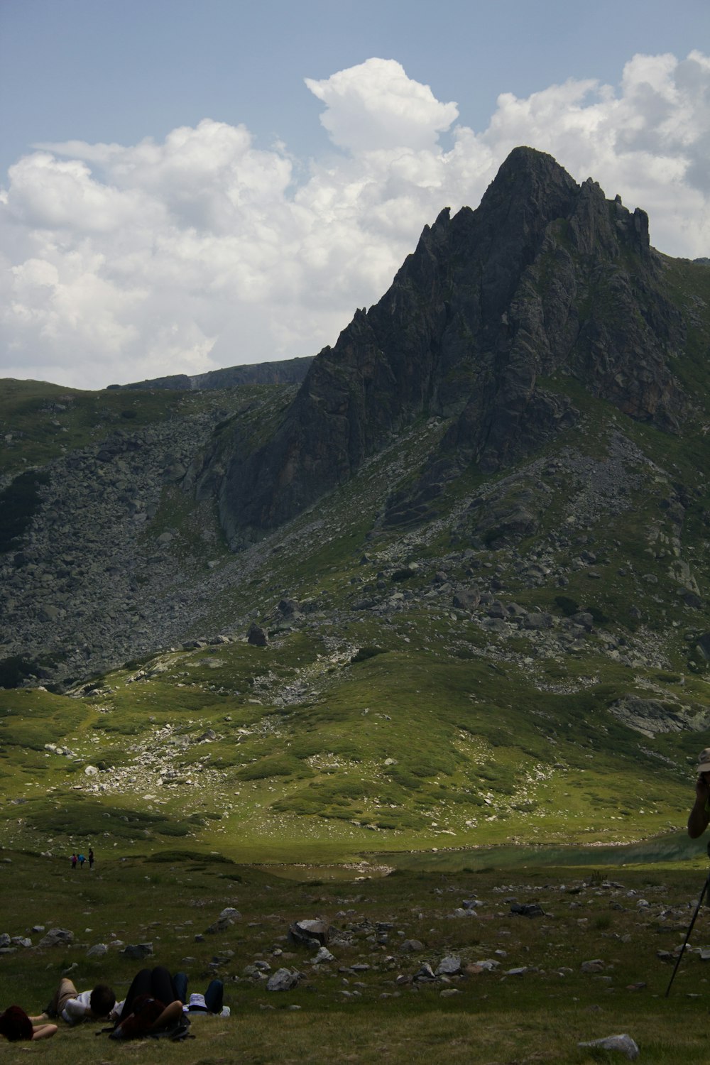 a man standing on top of a lush green hillside