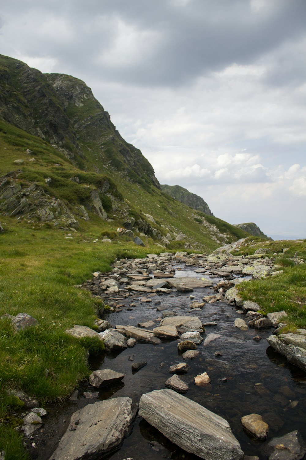 a stream running through a lush green hillside