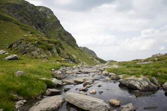a stream running through a lush green hillside