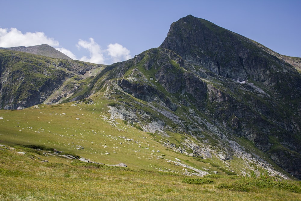 a grassy field with a mountain in the background