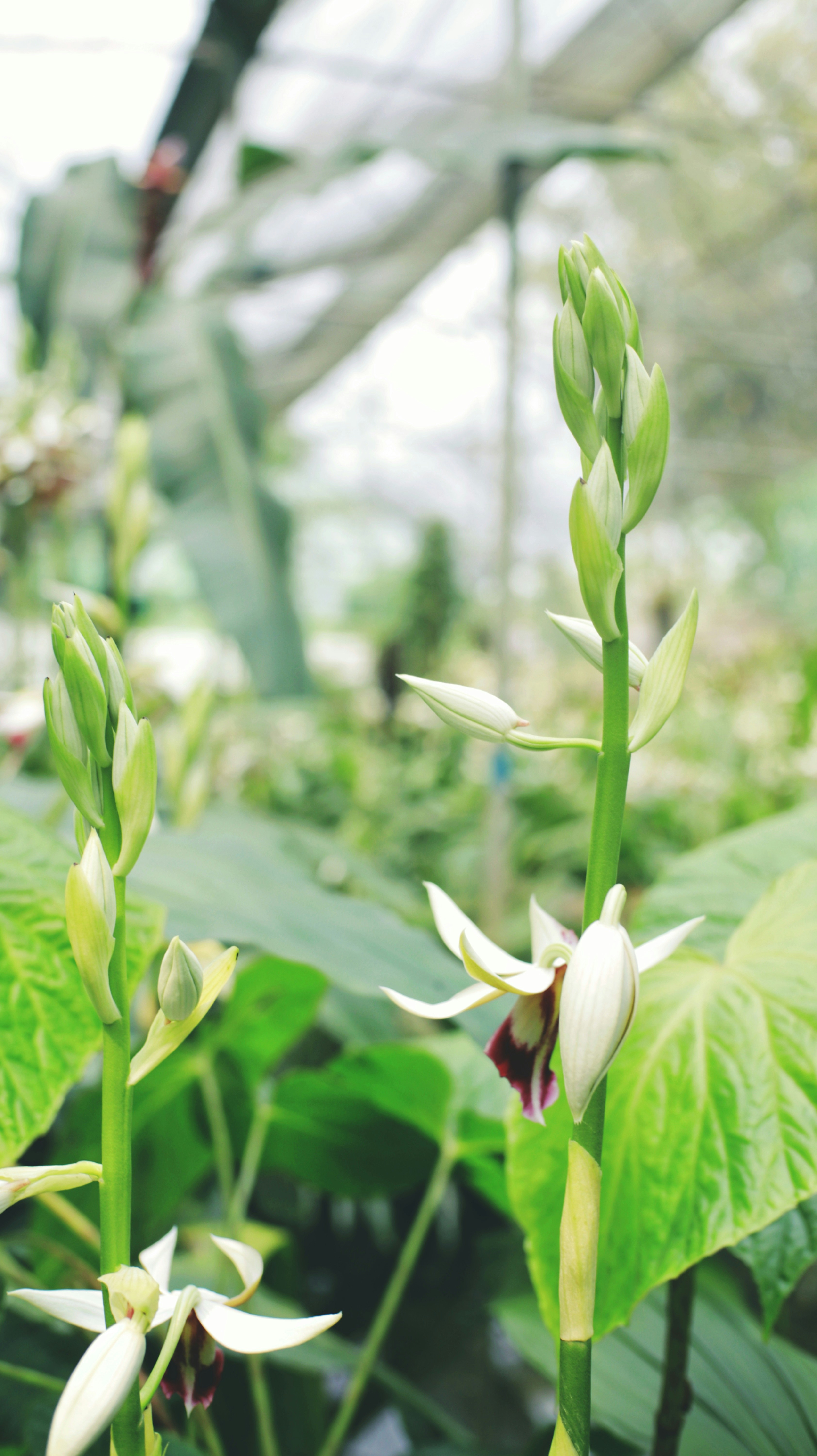 Photo by niranjanborah