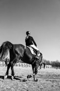 A person wearing a helmet rides a horse on a dirt field. The rider is dressed in equestrian attire. In the background, there are hay bales and a few people standing or walking.