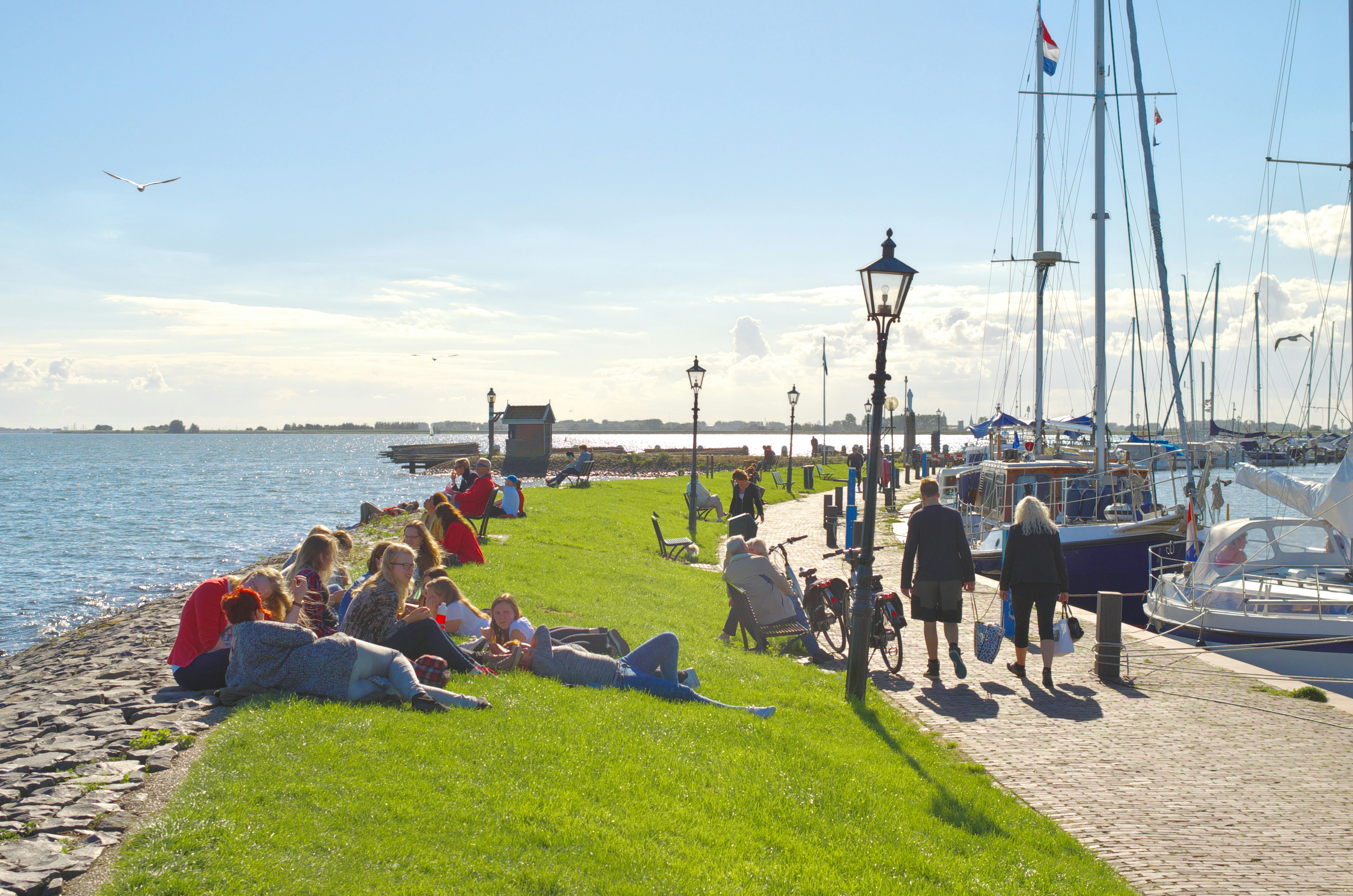 a group of people sitting on the grass next to a body of water