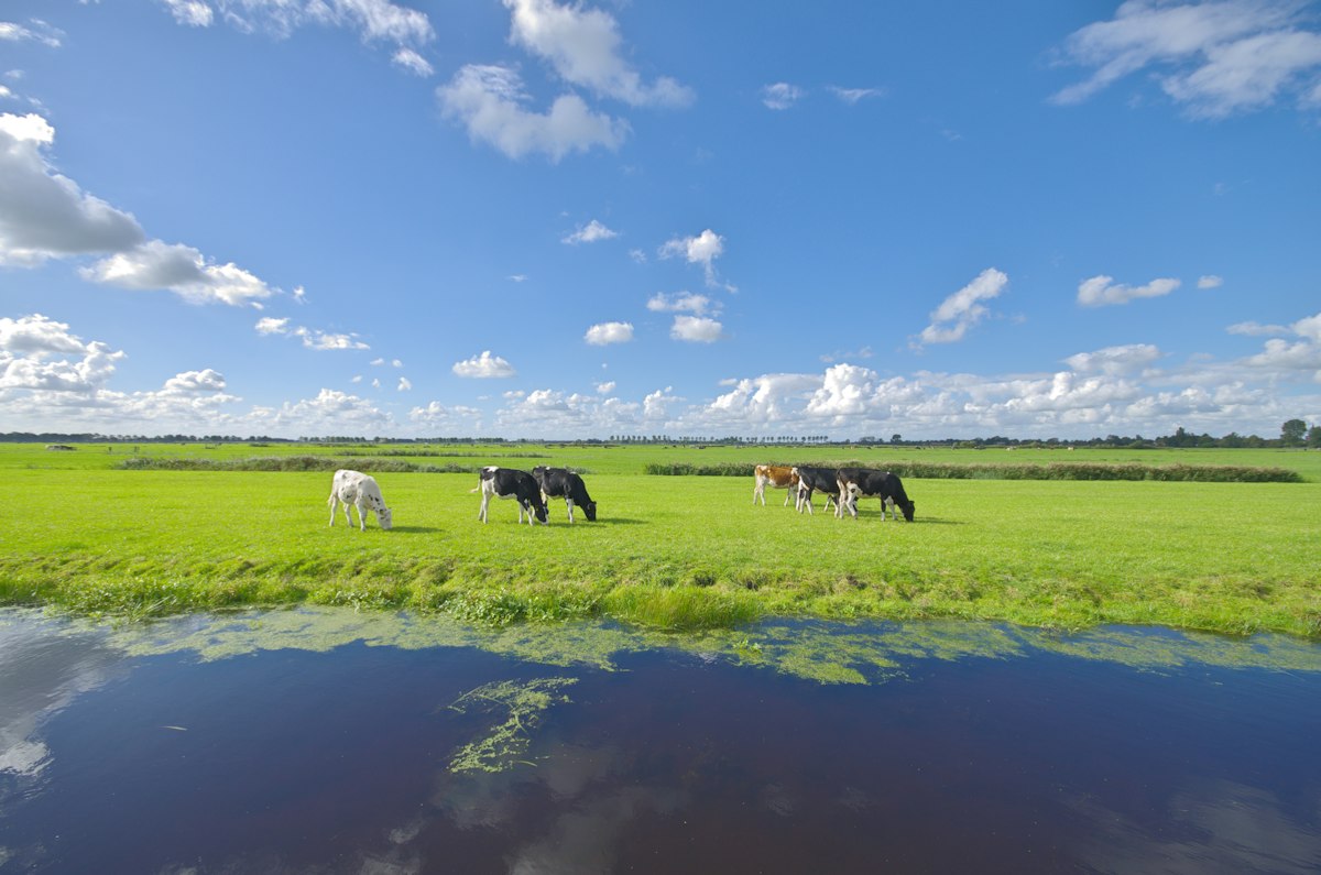 Kaasboerderij De Hooiberg