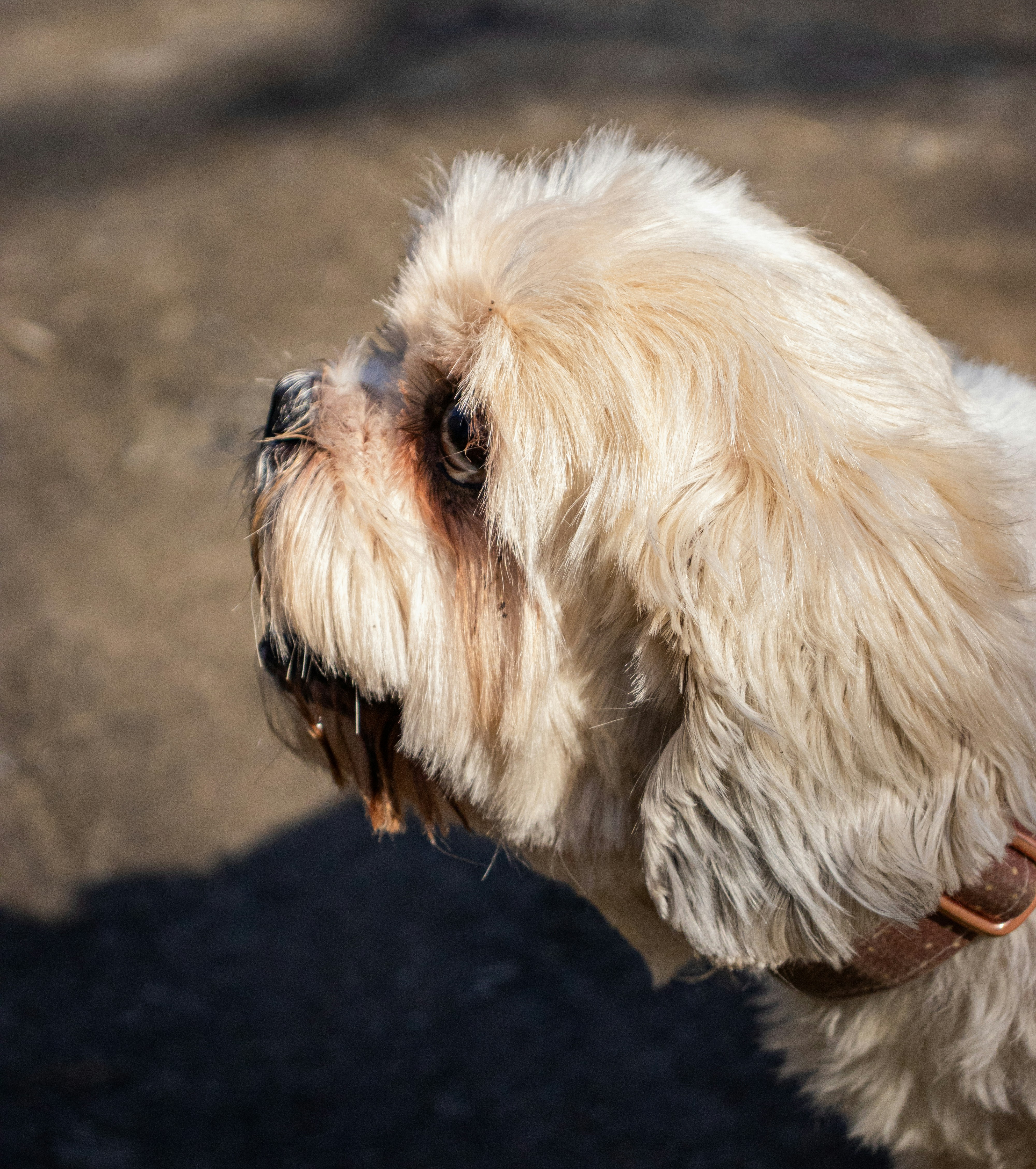 Photo by bcm_photography