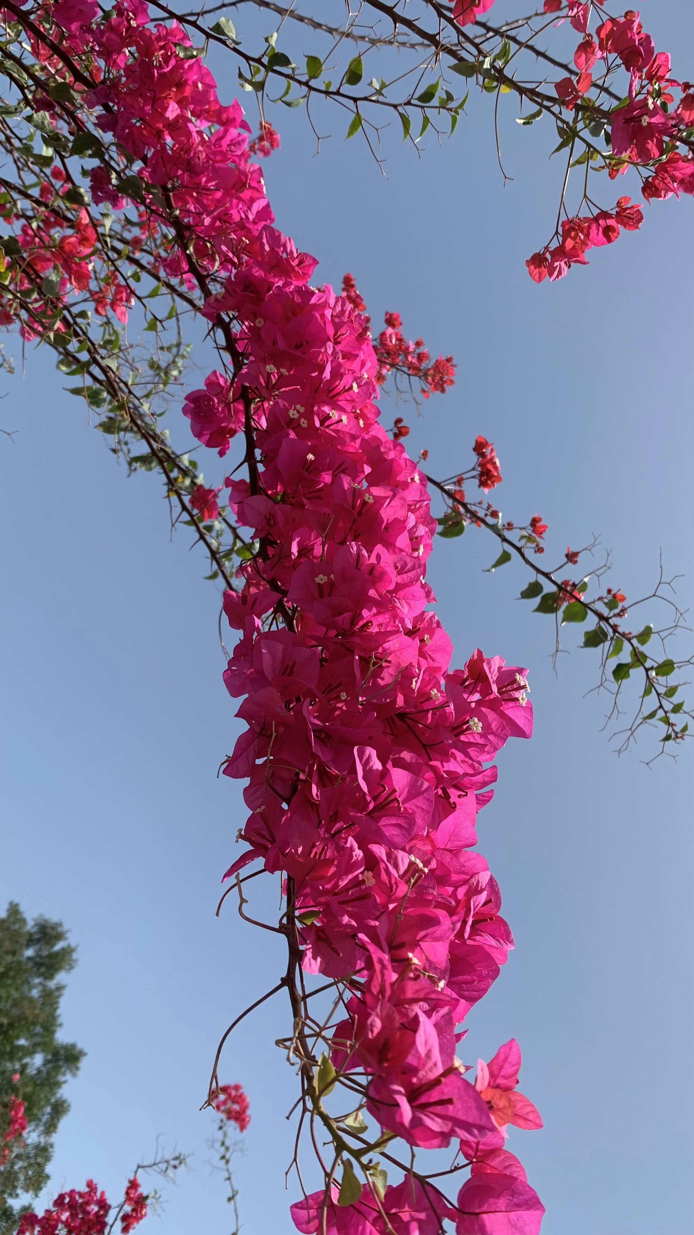 Photo by blanche1400