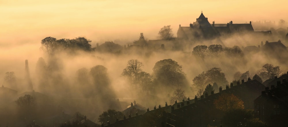 a castle in the middle of a foggy forest