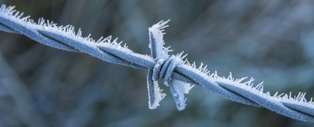 a close up of a barbed wire with snow on it