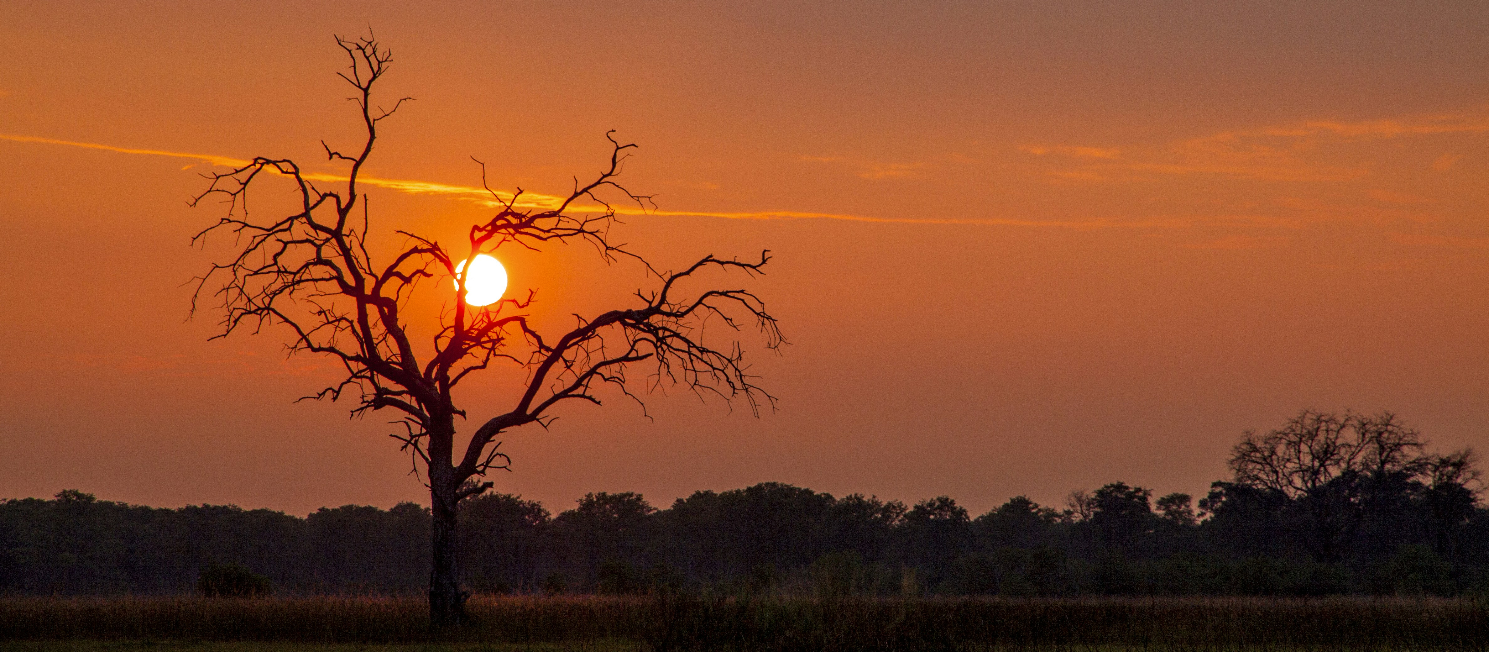 the sun is setting behind a tree in a field