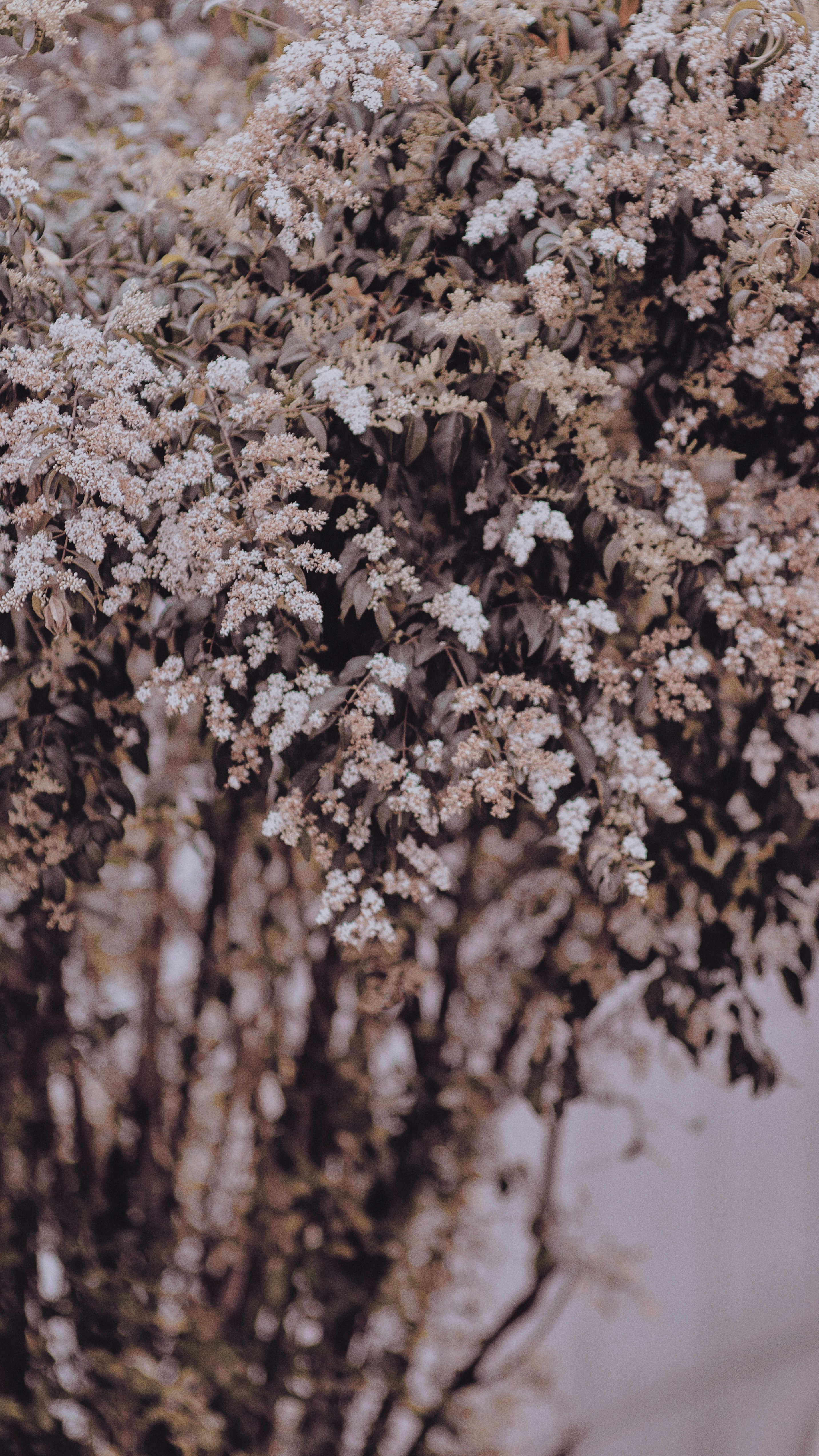 Photo by xiexianghua