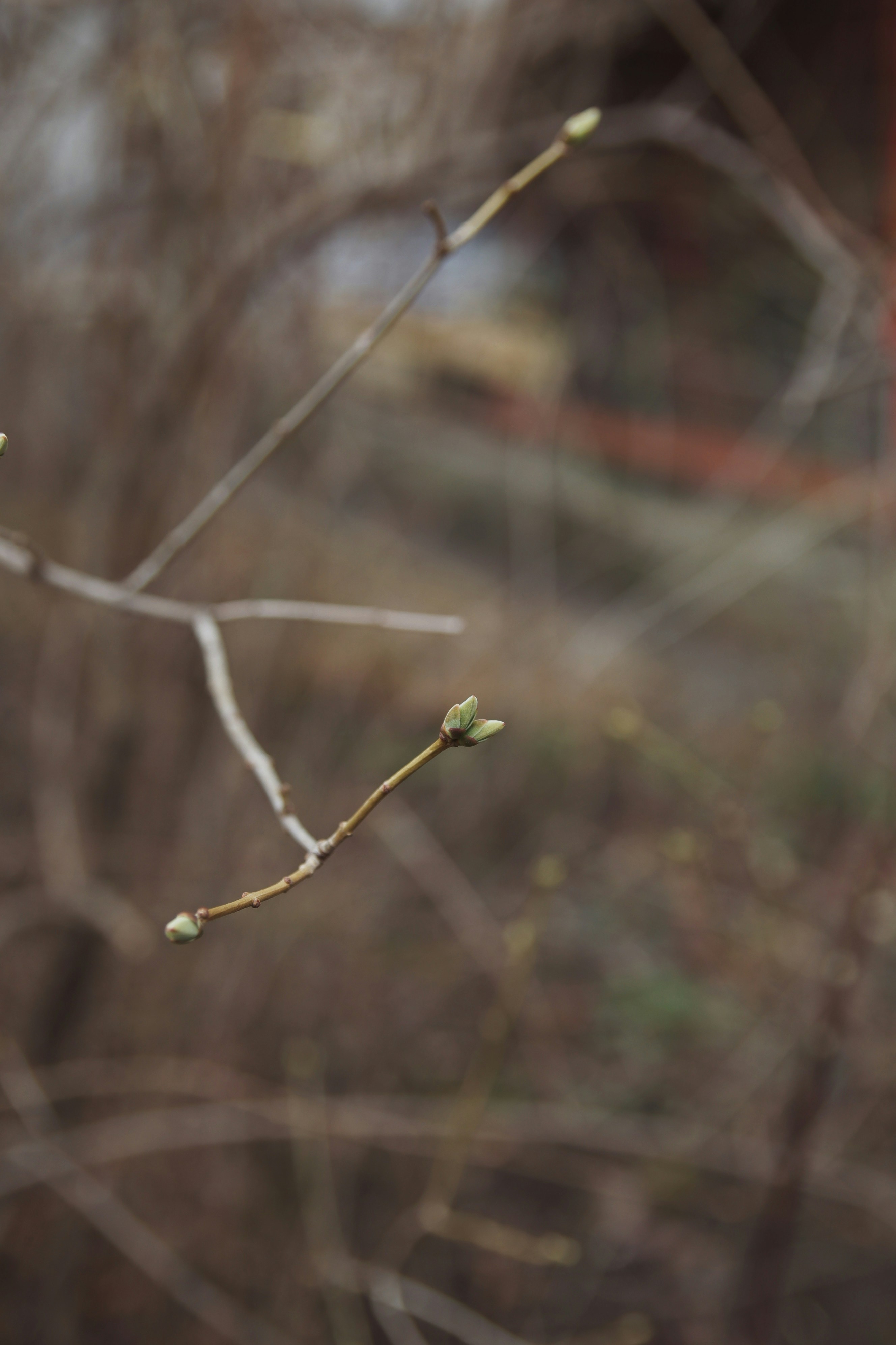 Photo by feeling_hope