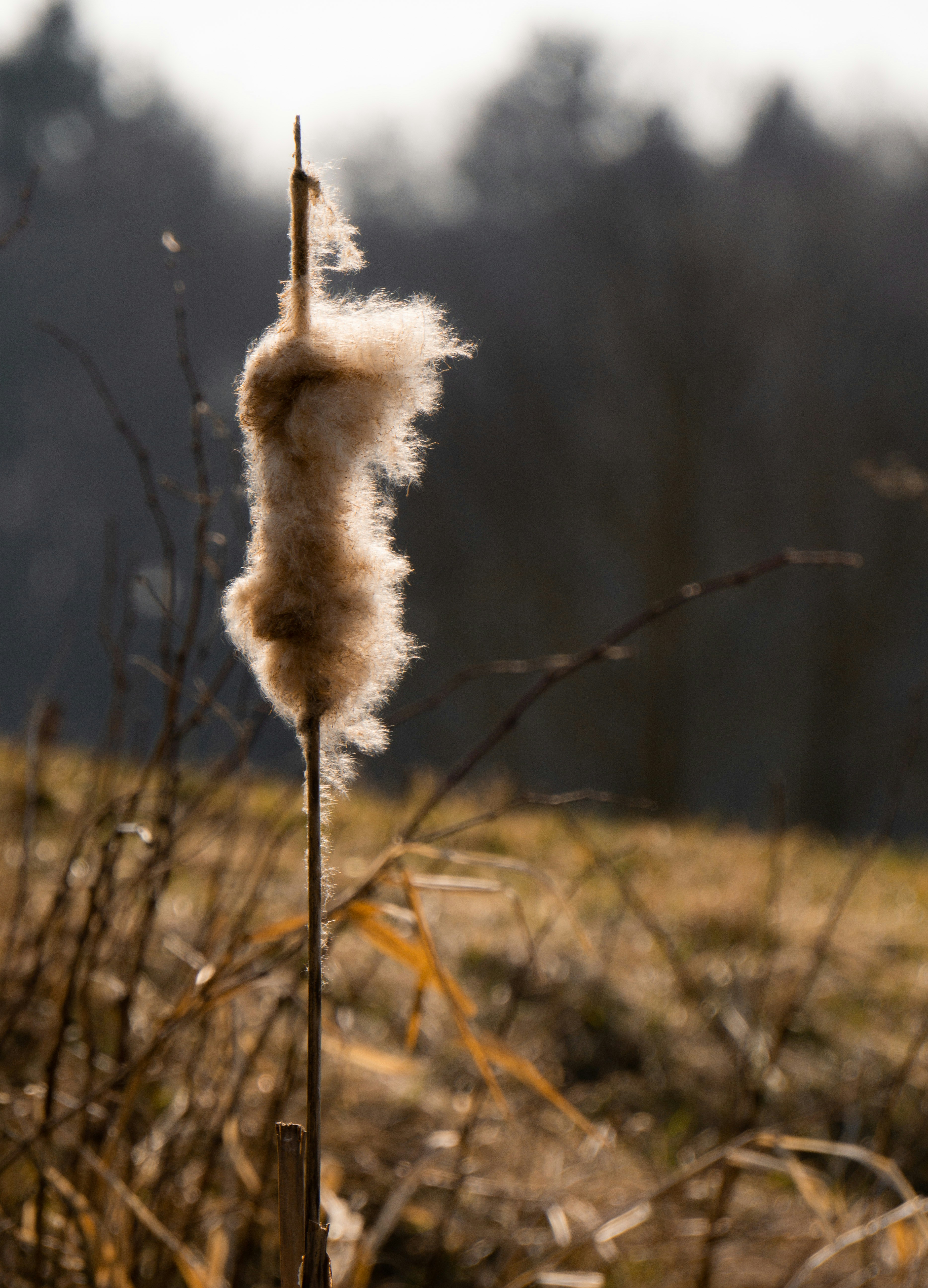 Photo by eszternaujoks