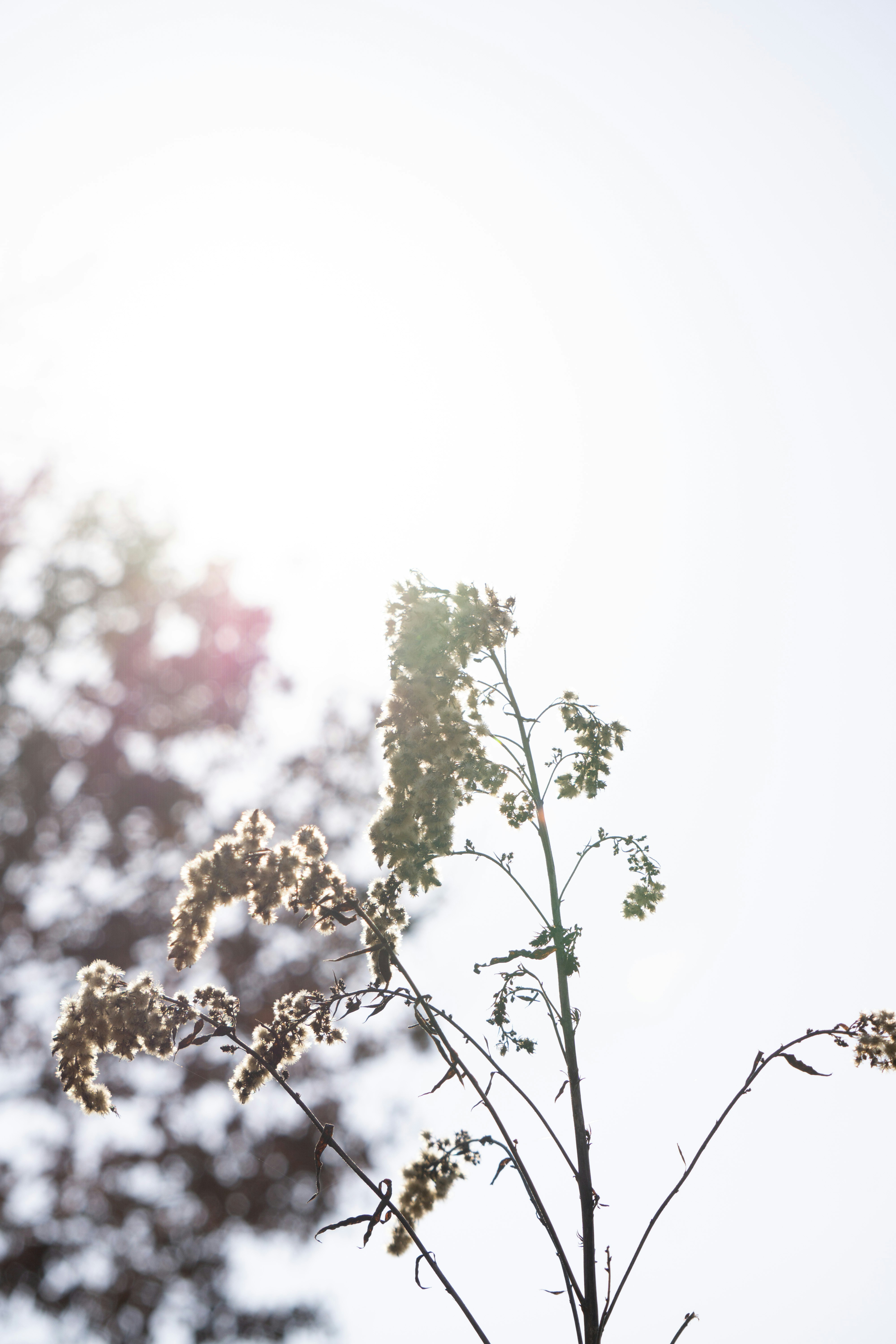 Photo by eszternaujoks