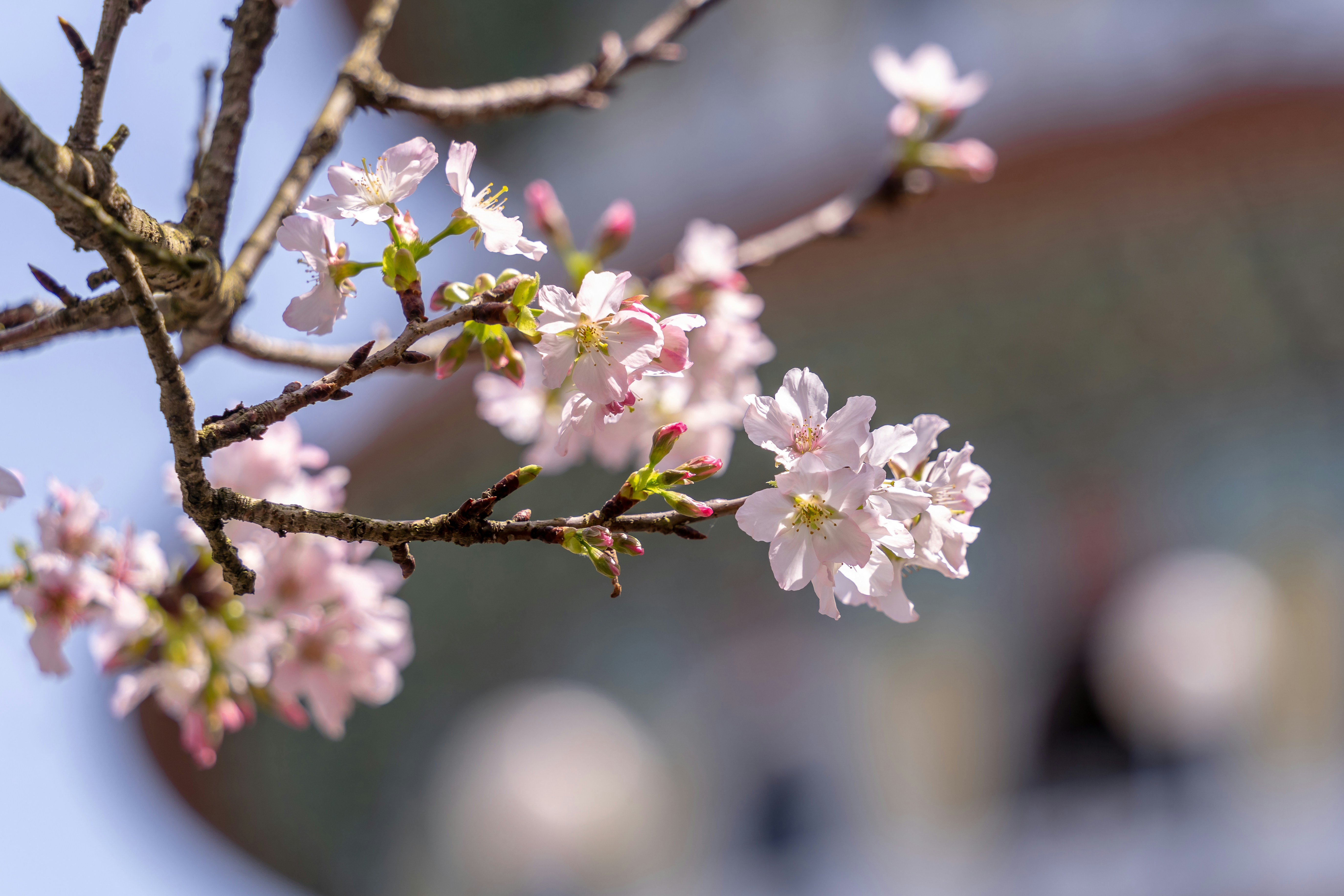 Photo by winstonchen